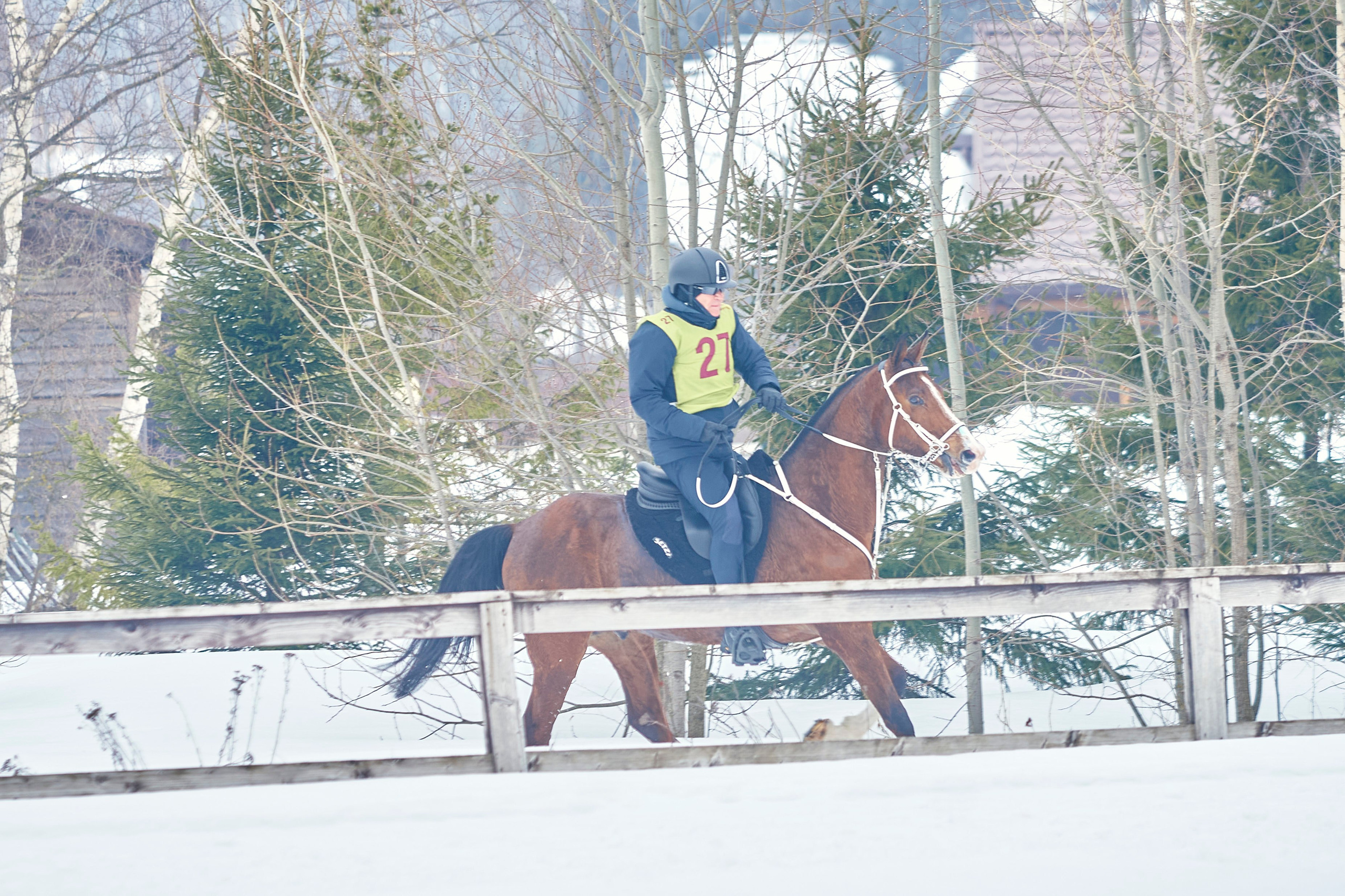 HORSE RACING. Фотограф Наталья Леонова