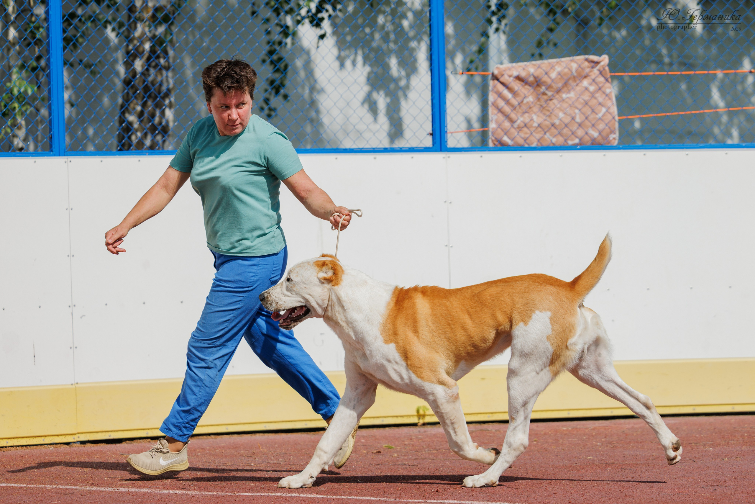 Коломна 30.08.2025. Фотограф-анималист Юлия Германика