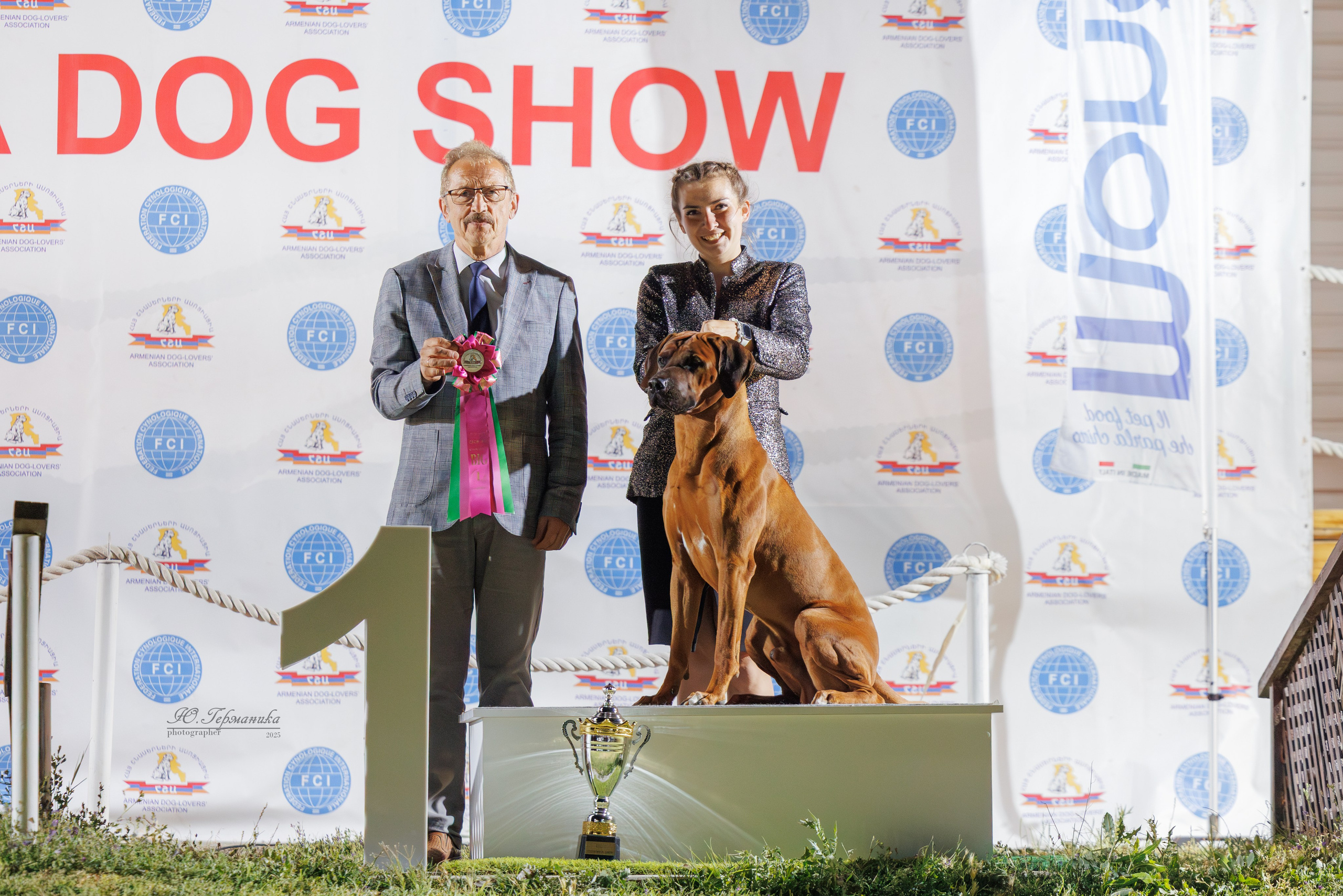 Ереван 3хCACIB 23-25.06.2025. Фотограф-анималист Юлия Германика