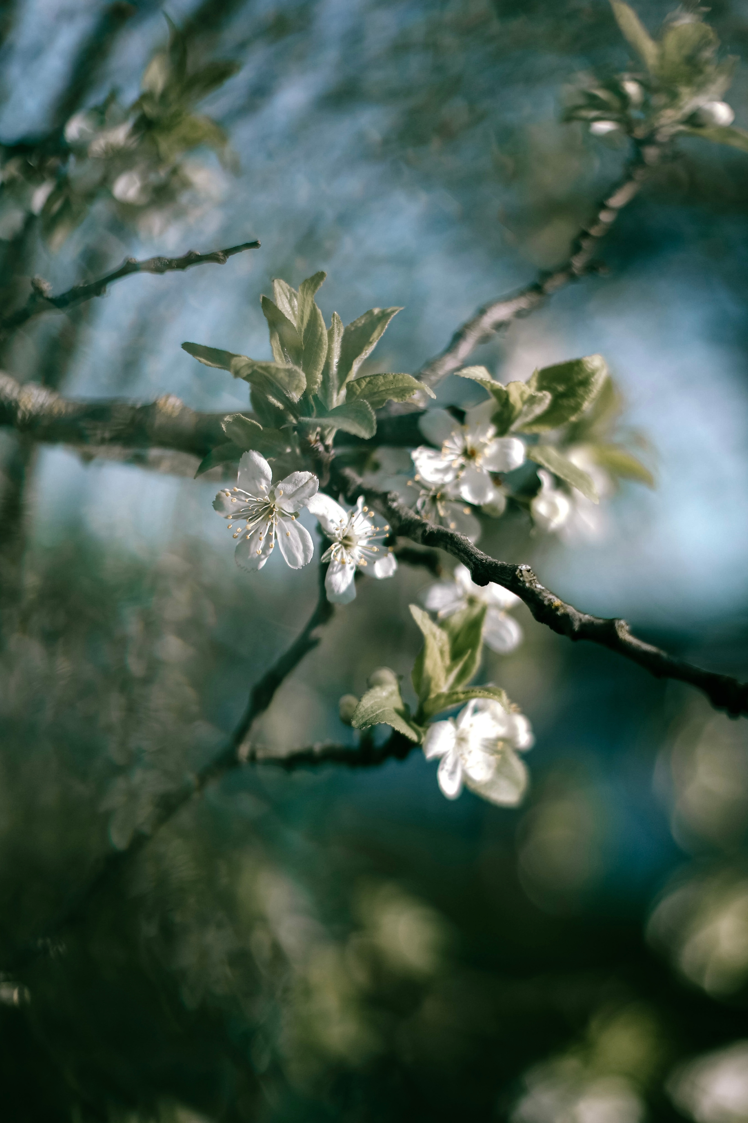 Деревенские зарисовки. Семейный LIFESTYLE фотограф в Москве