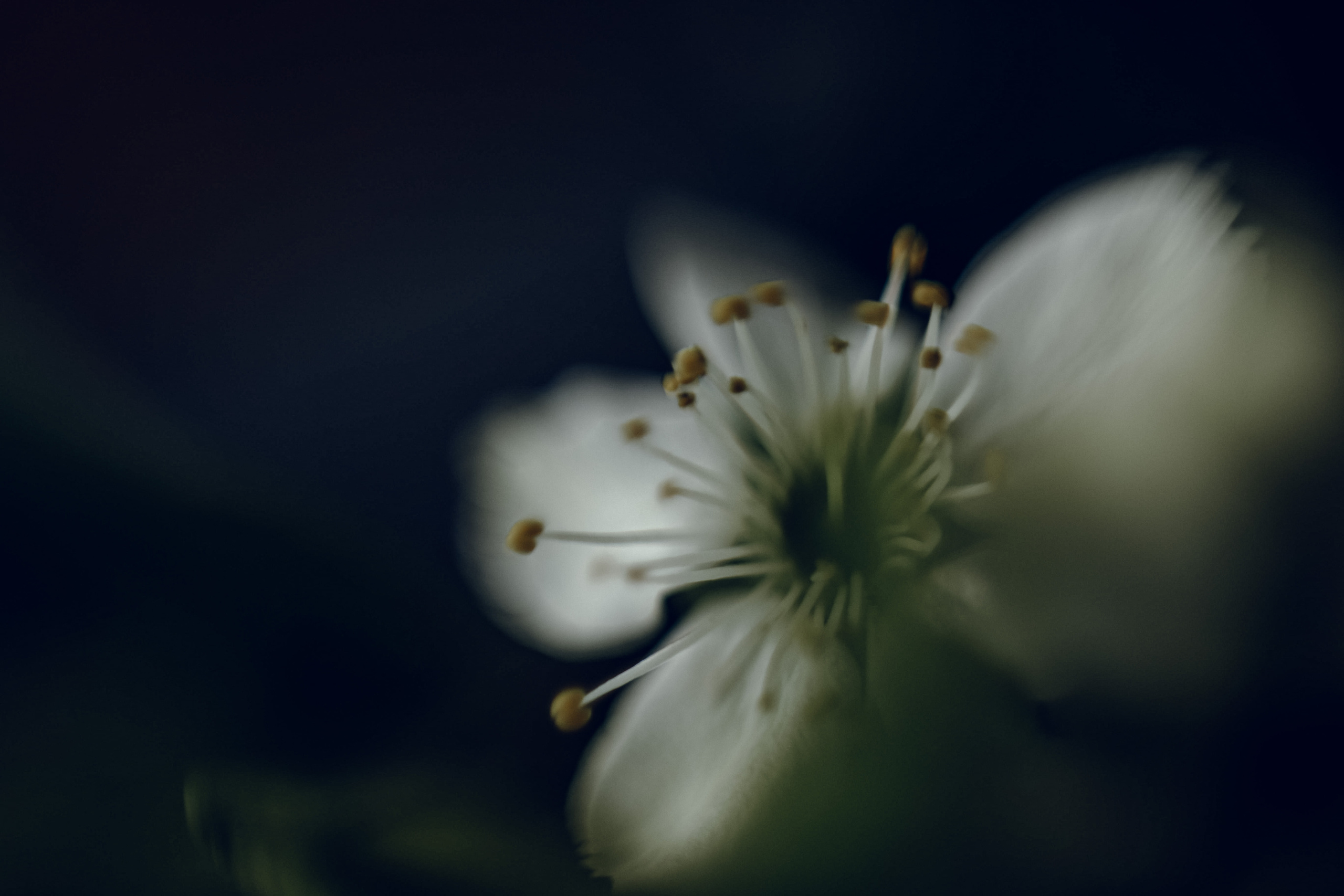 Деревенские зарисовки. Семейный LIFESTYLE фотограф в Москве