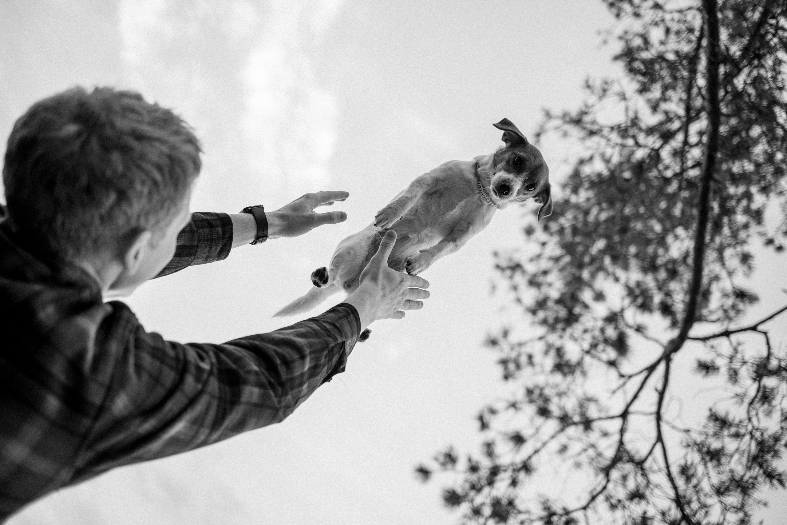 Лея и ее семья. Фотограф — Анималист | Санкт-Петербург