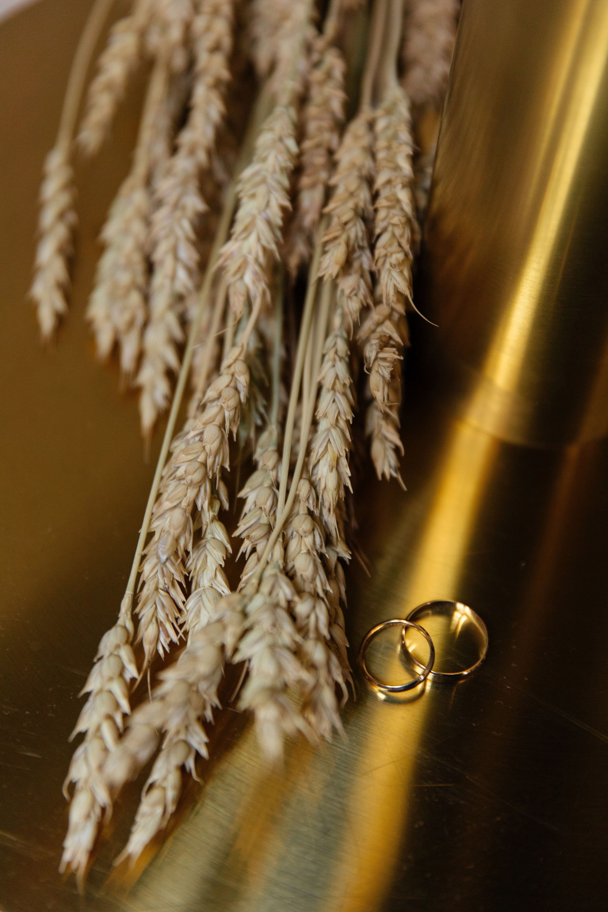 Саша и Яна. Свадебный фотограф в Томске | Александр Овчаренко