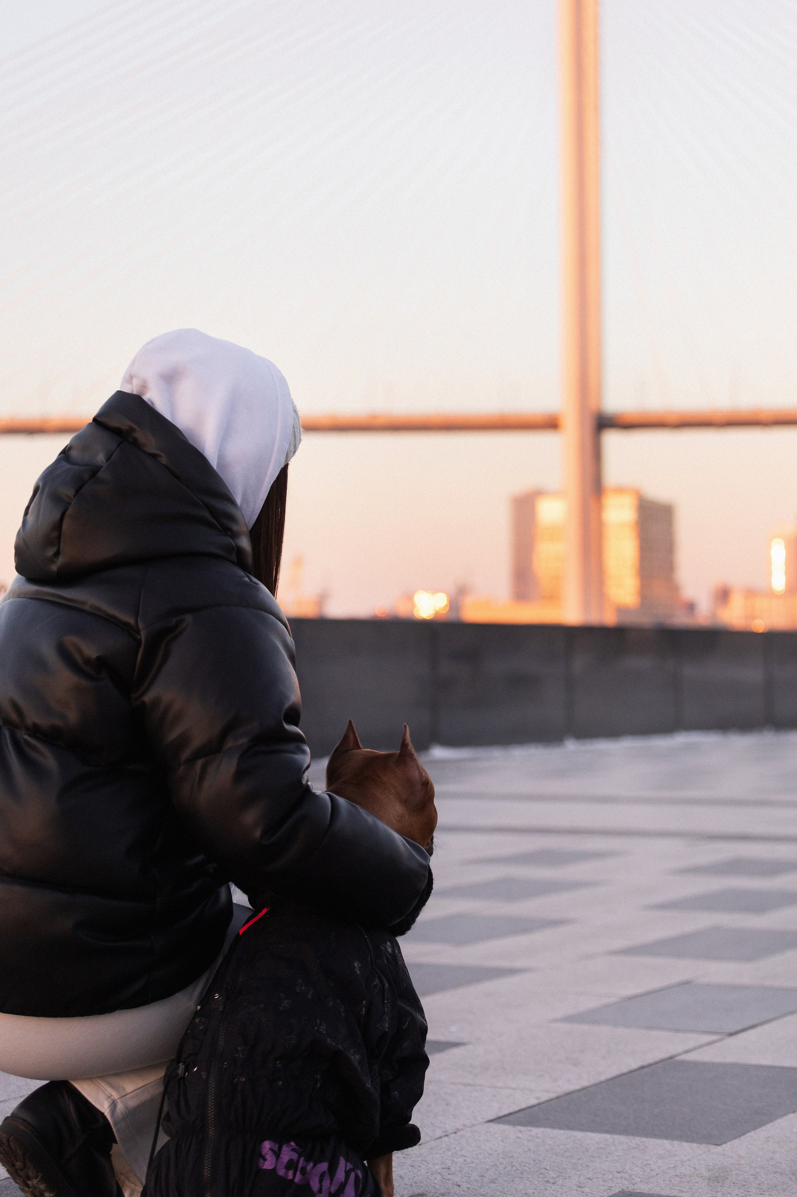 Арина и Стэфи. Фотограф — анималист Владивосток, Алина