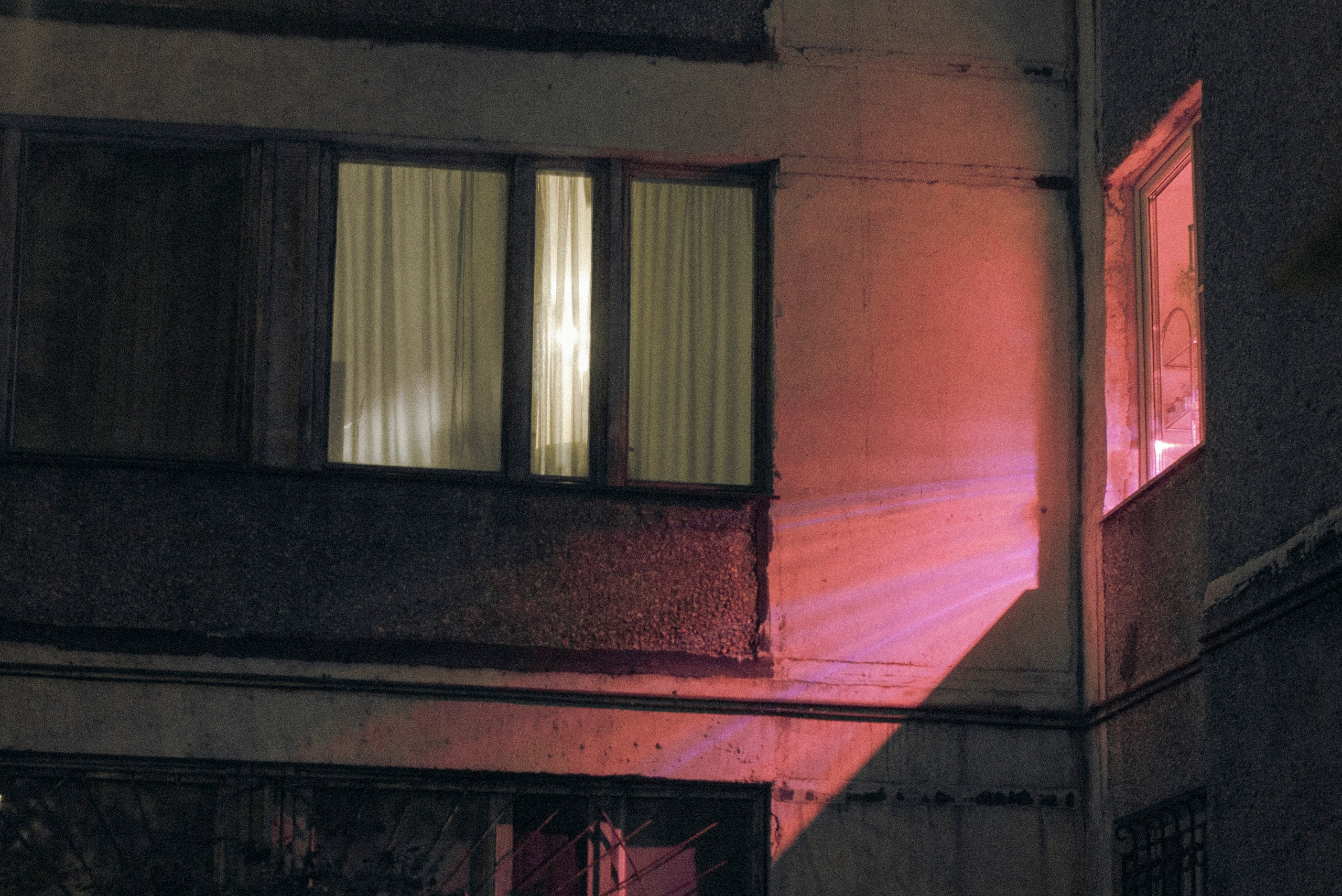 Разное неважное. Фотограф в Москве Алейникова Евгения