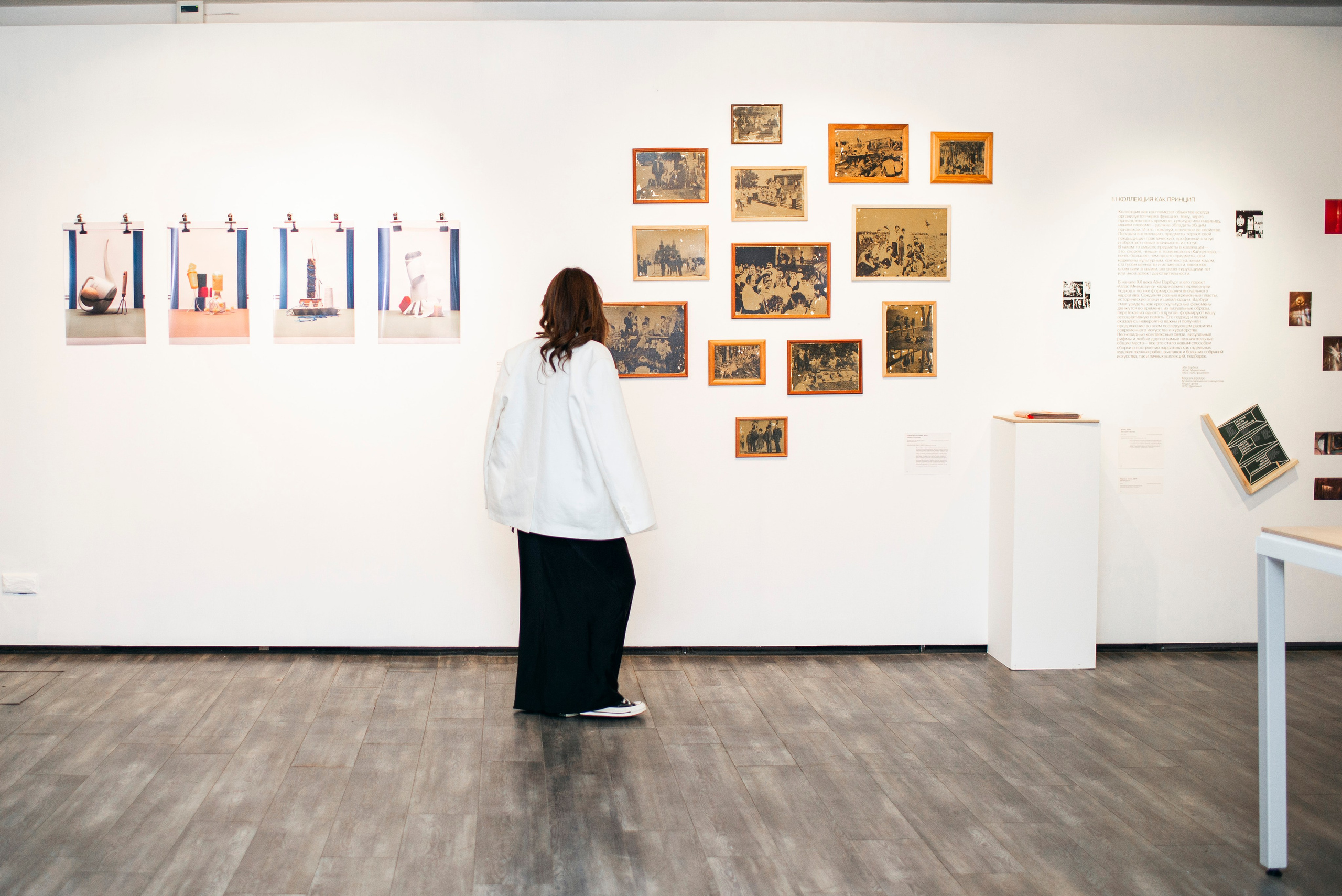 Открытие выставки в ММОМА «Коллекция». Фотограф в Москве Алейникова Евгения