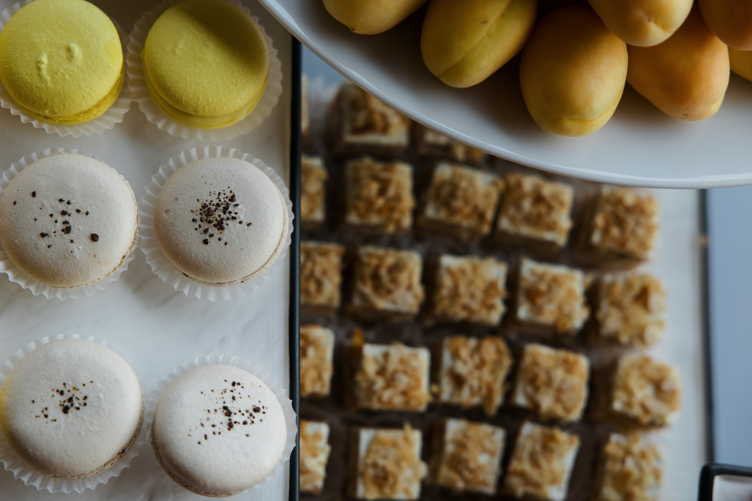 Boehringer Ingelheim. Репортажный фотограф Санкт-Петербург, Москва