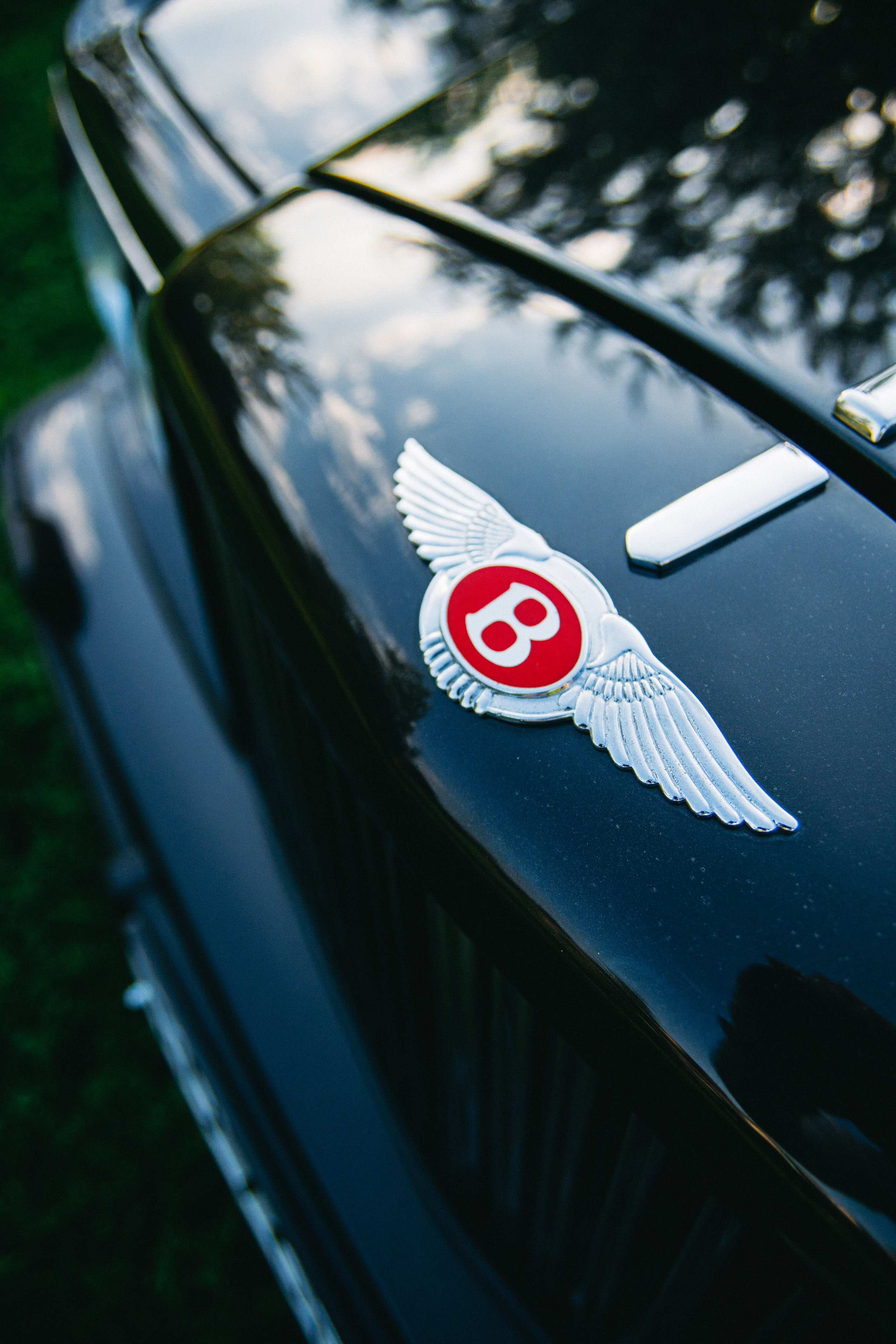 Open season 2025. Жуков Илья  свадебный фотограф в Москве