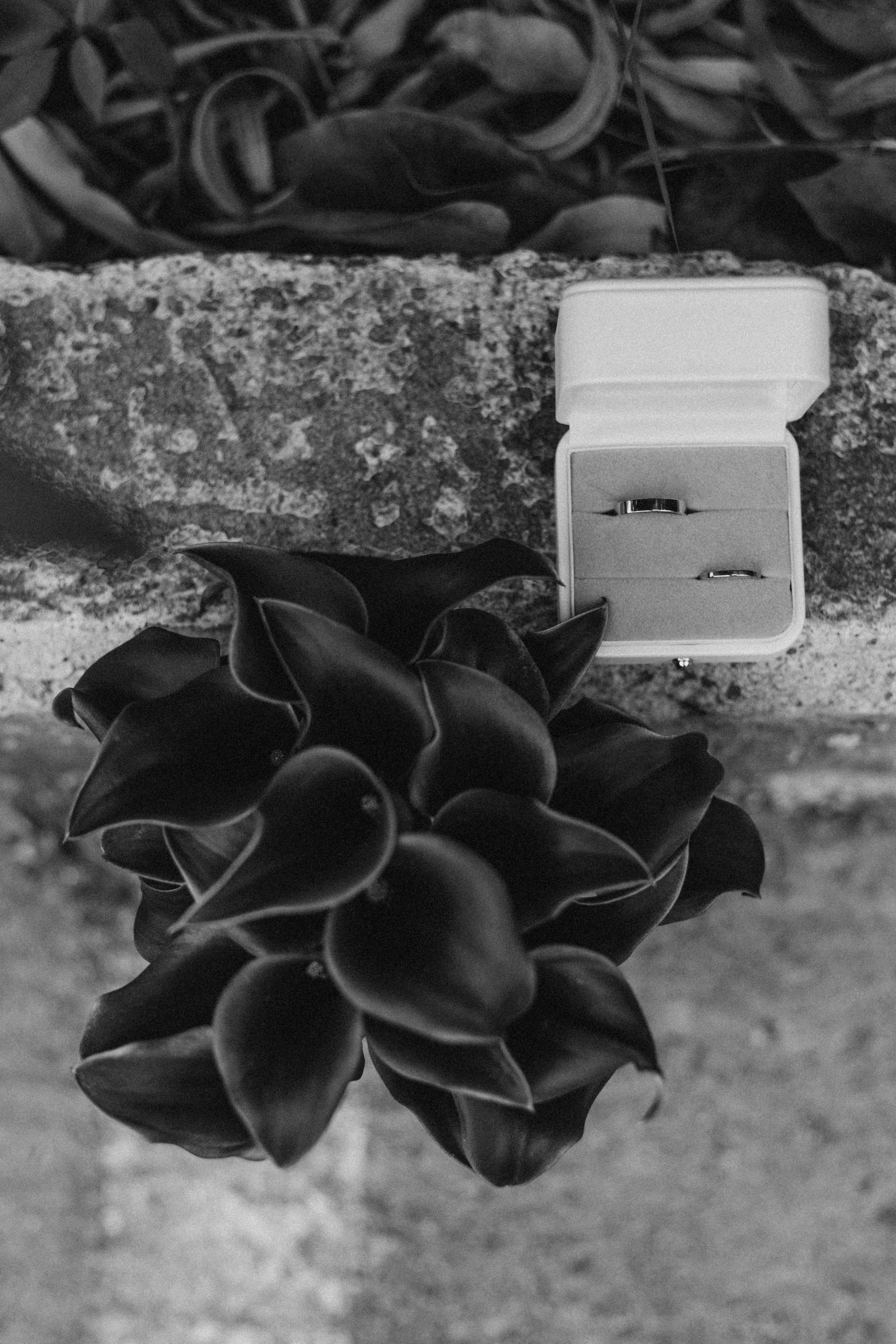 Про нас. Свадебный и семейный фотограф Краснова Юлия