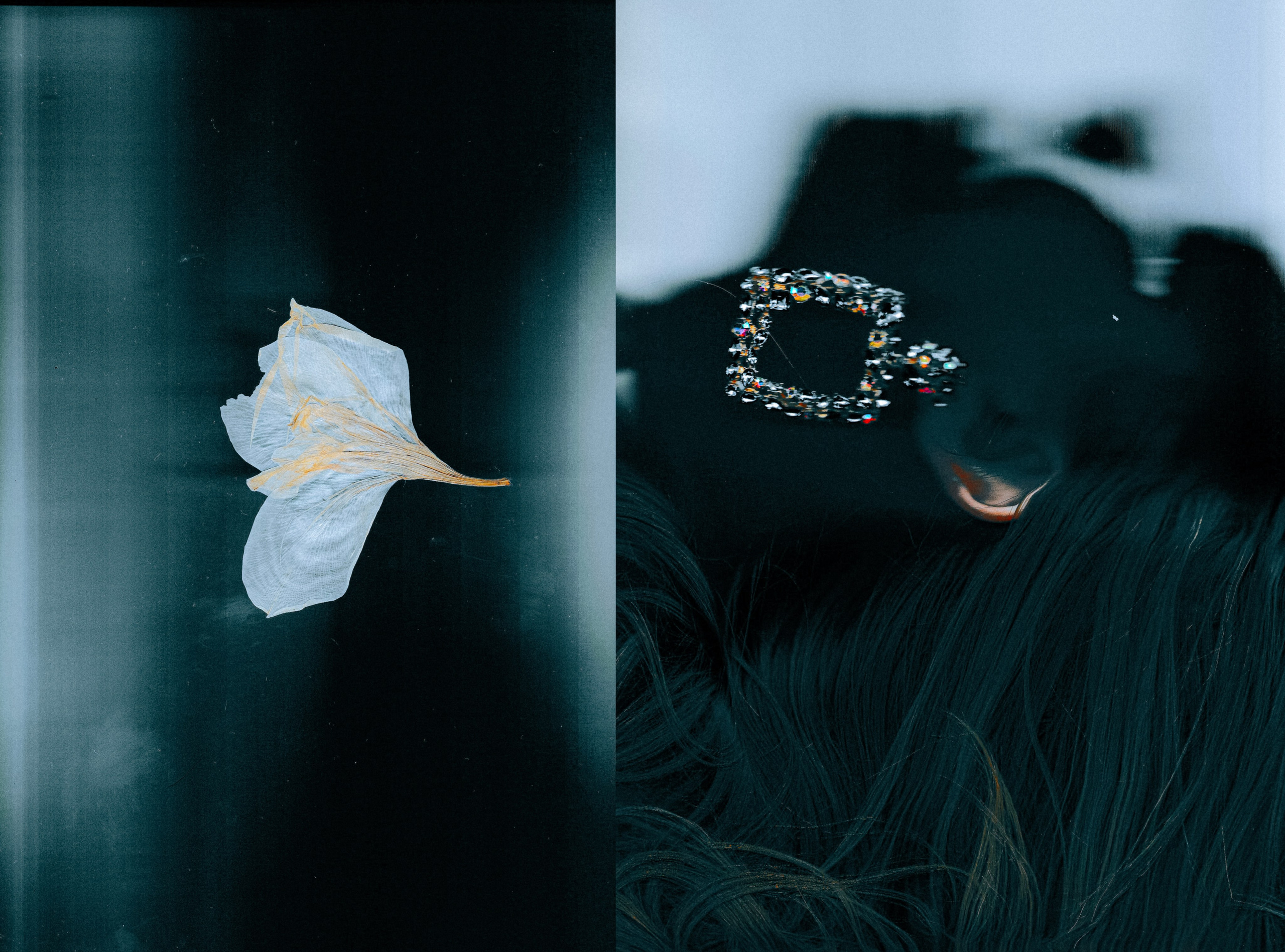 Фото на сканер. Фотограф Настя | Экспедиции и лайфстайл