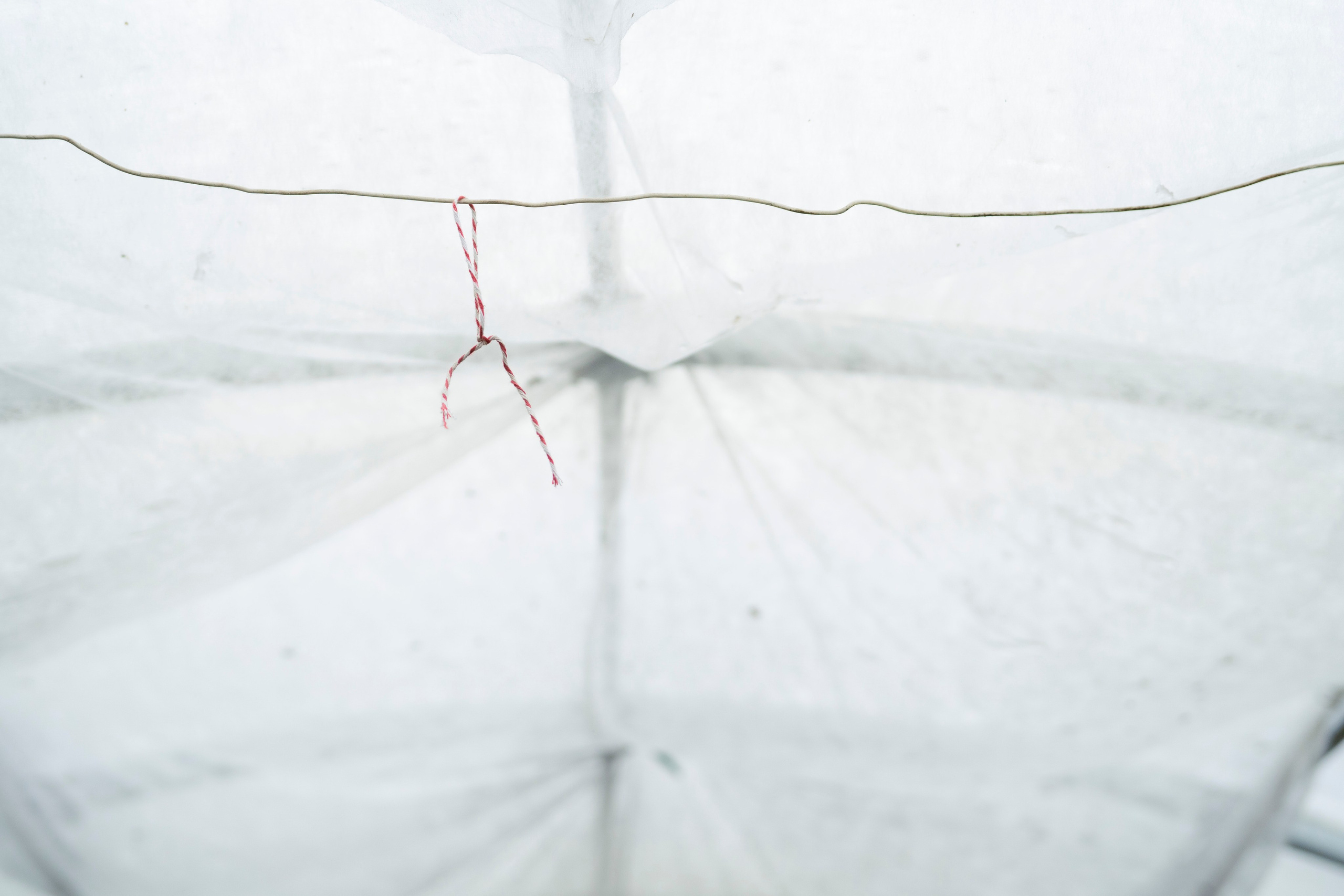 Молчановы. Многолетний проект о молодой семье. Фотограф в Москве Савкина Евгения