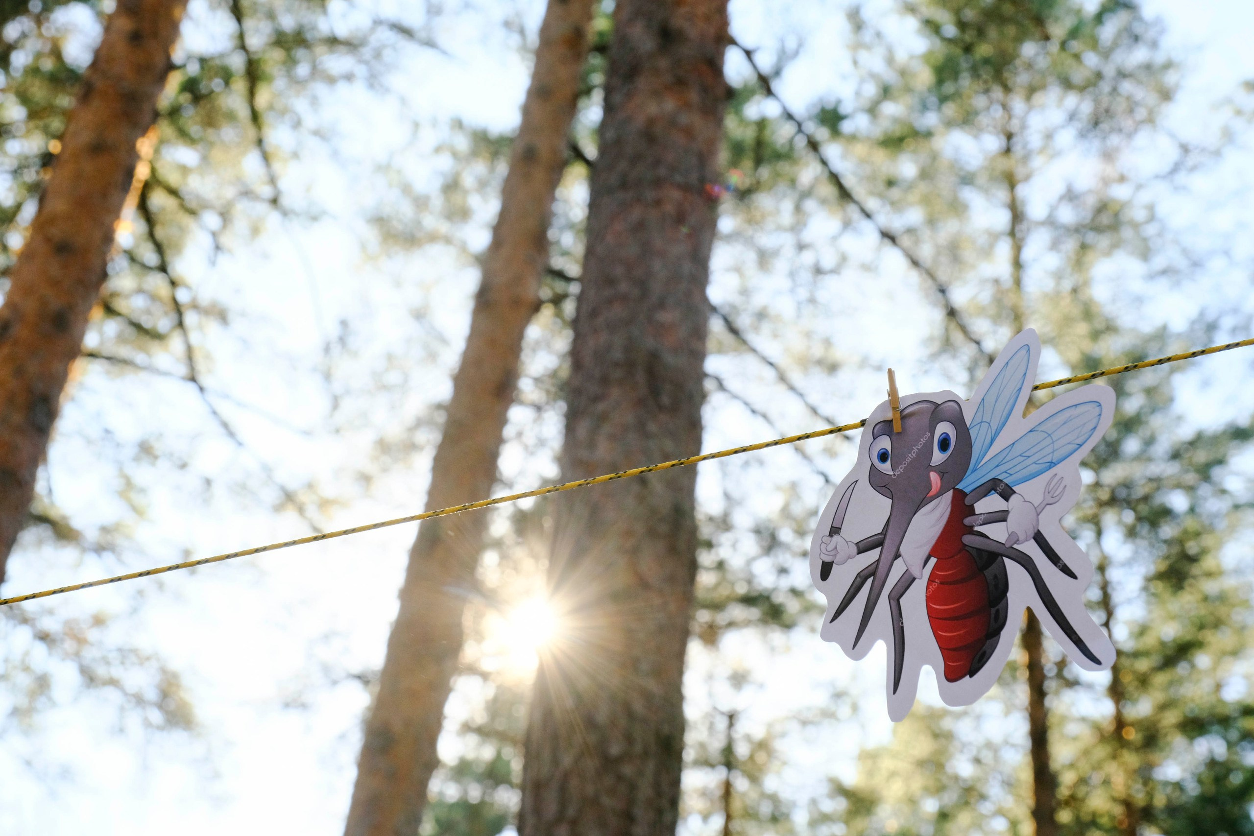 Корпоративный турпоход 500 чел. Территория M.I.C.E. Территория EVENT. Организация мероприятий