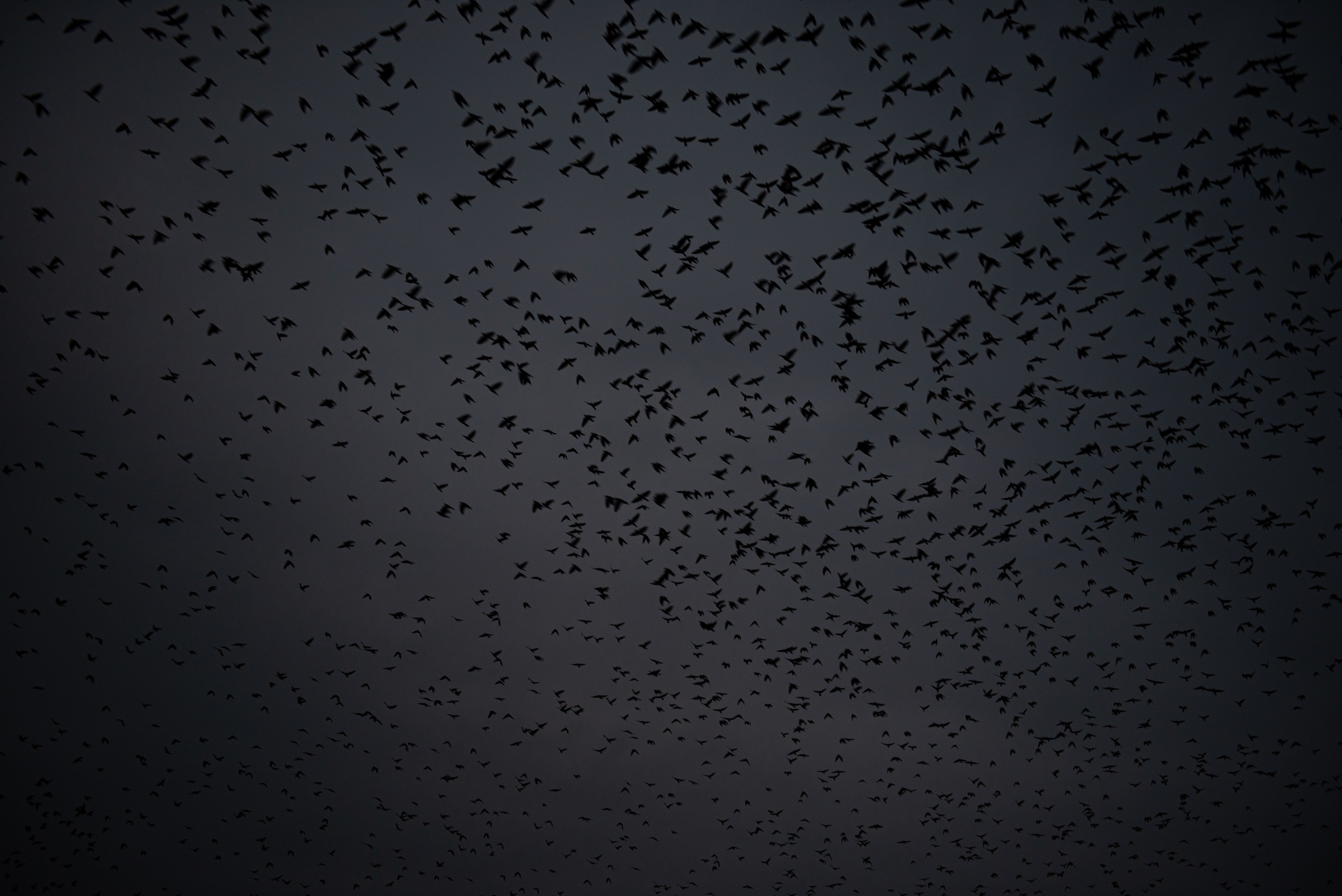 Мурмурация. Портретный и архитектурный фотограф в Москве и Санкт-Петербурге