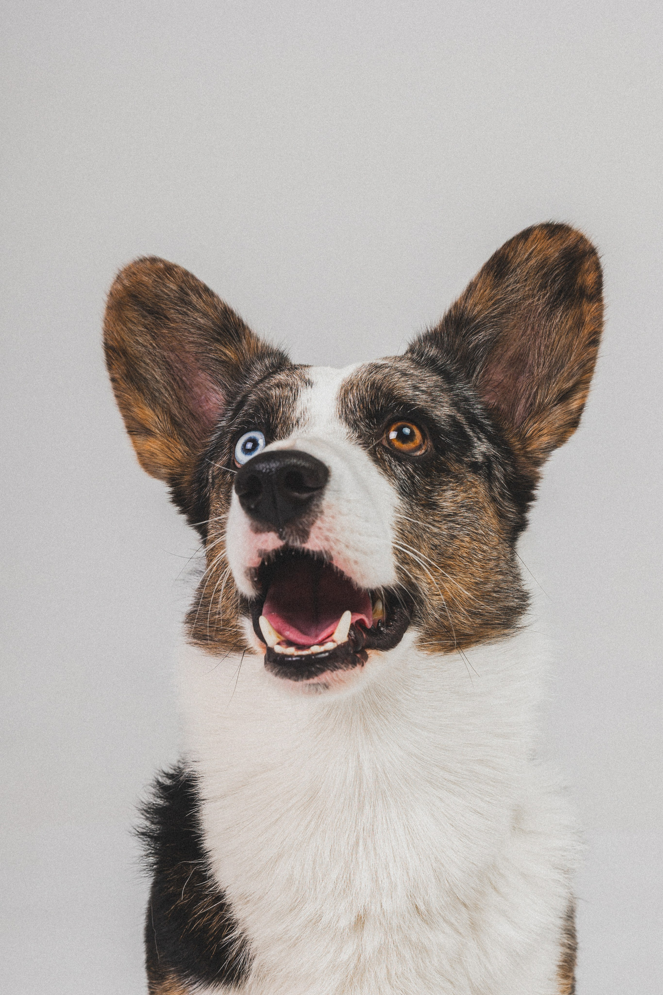 Анатолий и Рагнар