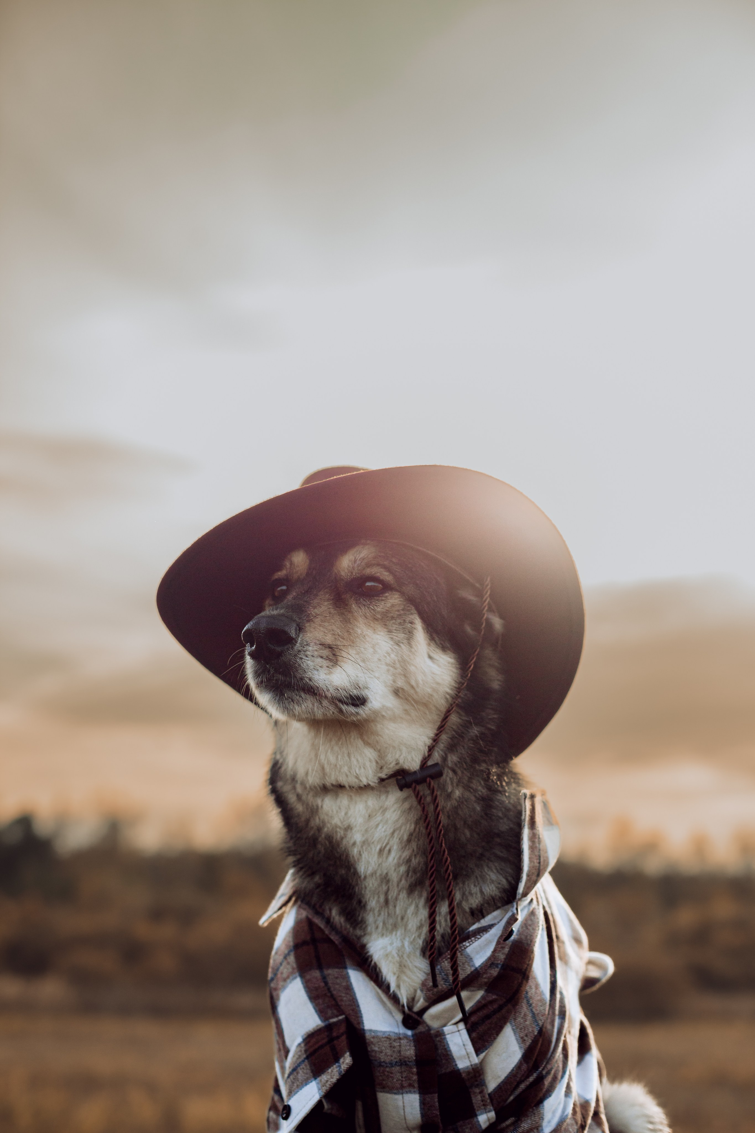 Кантри Дюк. Фотограф-анималист Татьяна Степанова