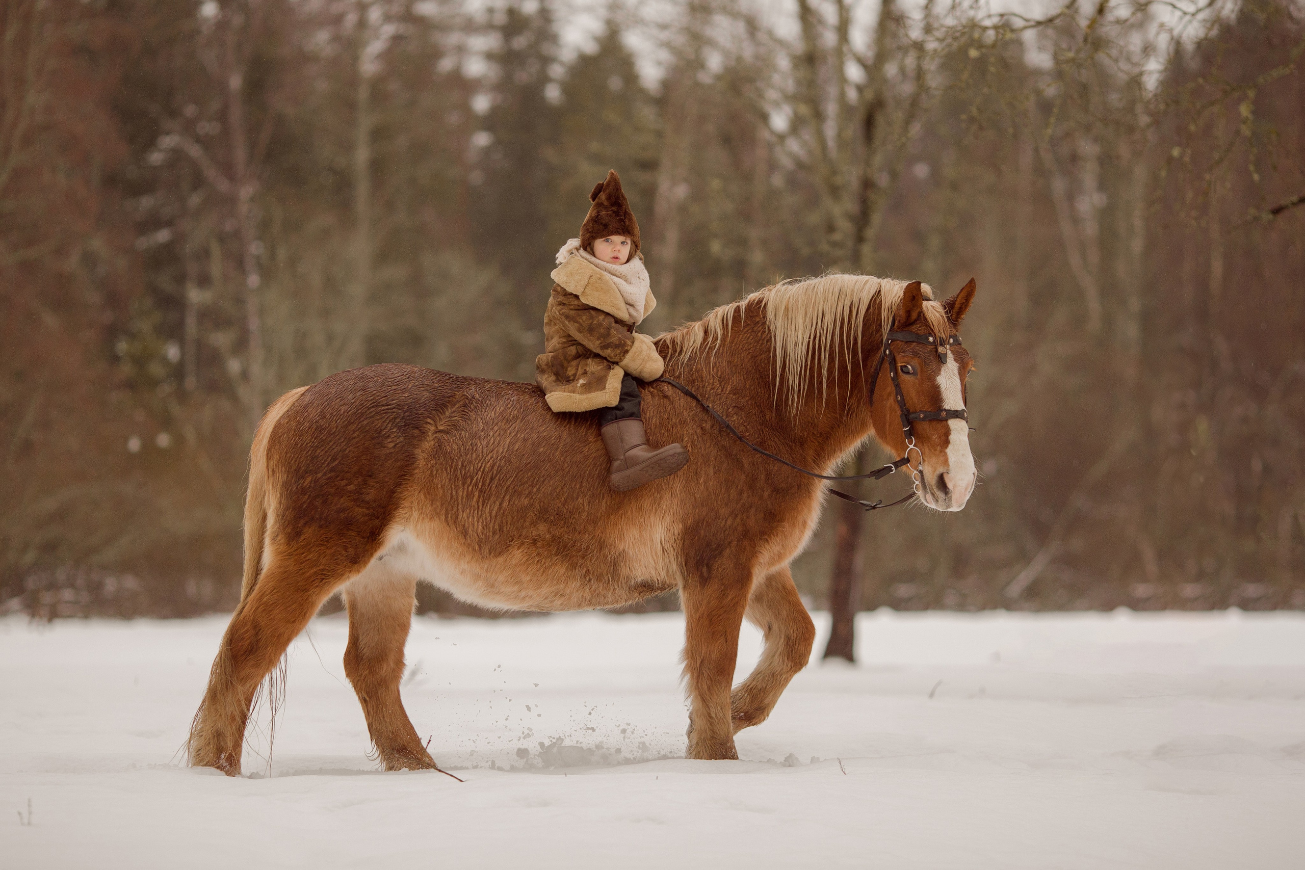 Фото мальчика и лошади зимой