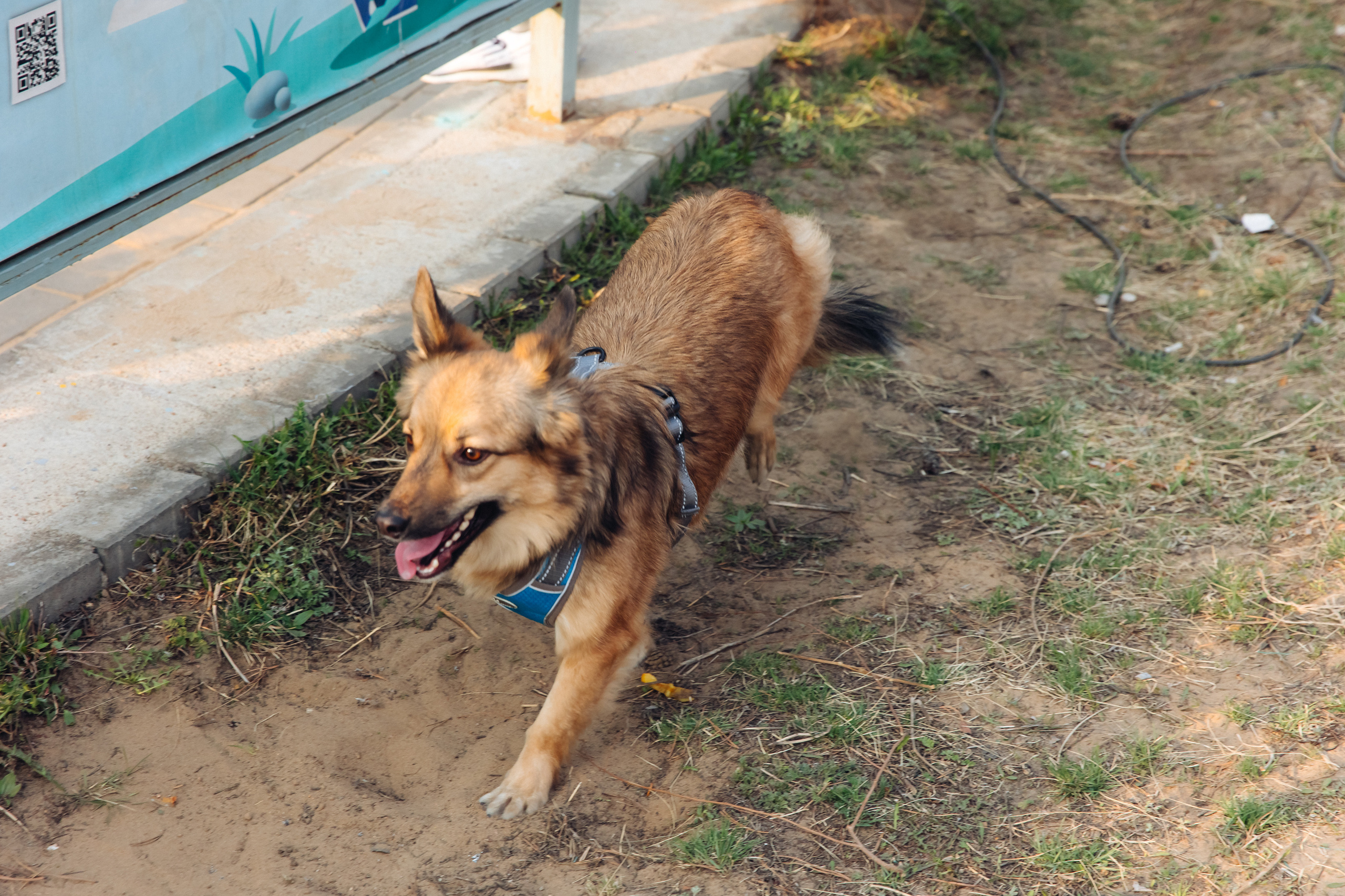 Празднование «Дня Победы» в парке Юбилейный. Свадебный и семейный фотограф в Улан-Удэ