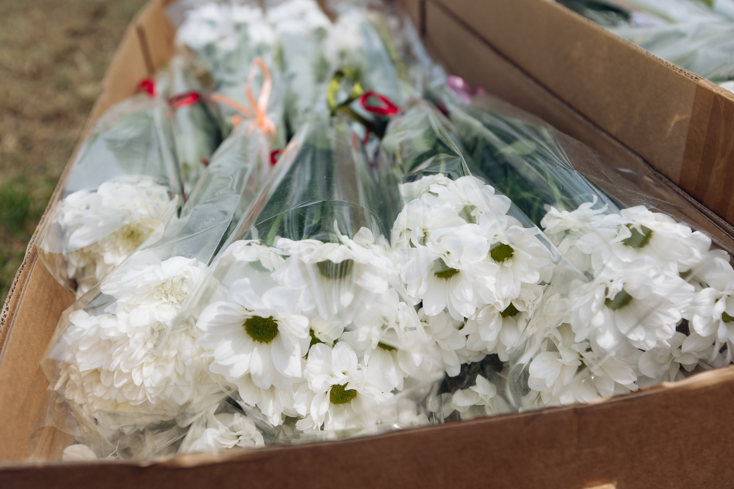 День медицинского работника. Свадебный и семейный фотограф в Улан-Удэ