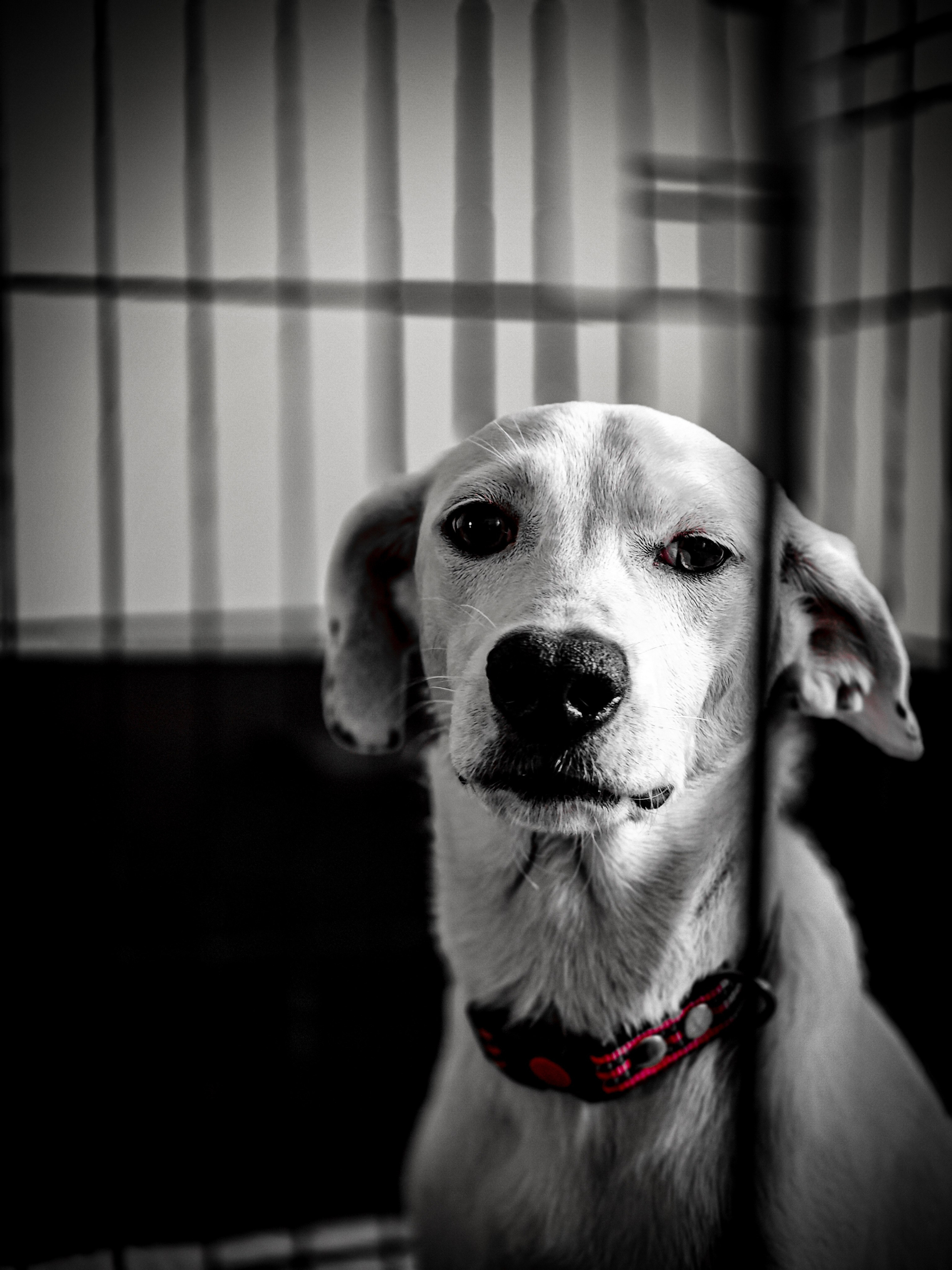 Ожидание. Игорь Урывский. Фотограф Красноярск