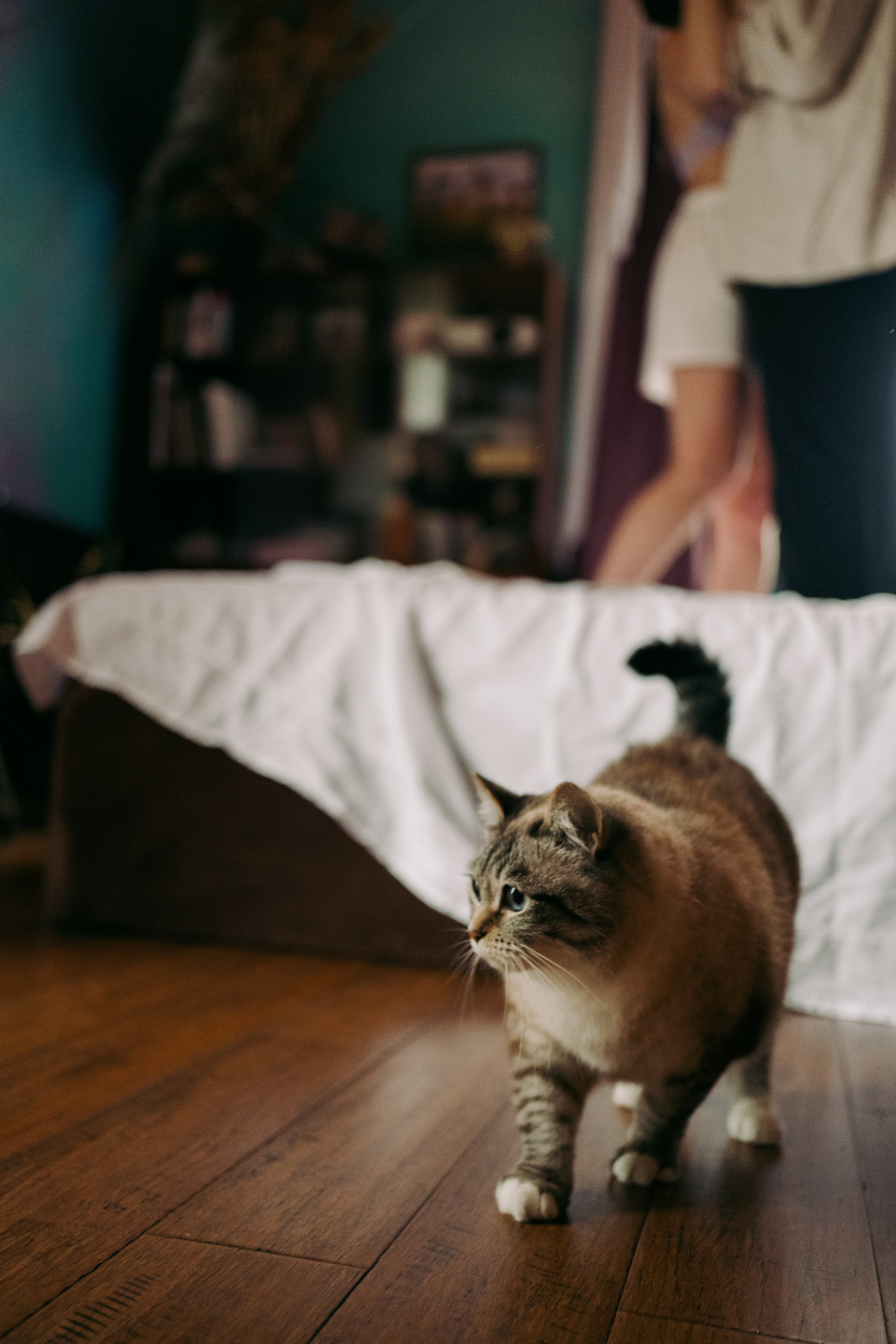 В Питере любить. Семейный и портретный фотограф в Санкт-Петербурге Маргарита Кряклина