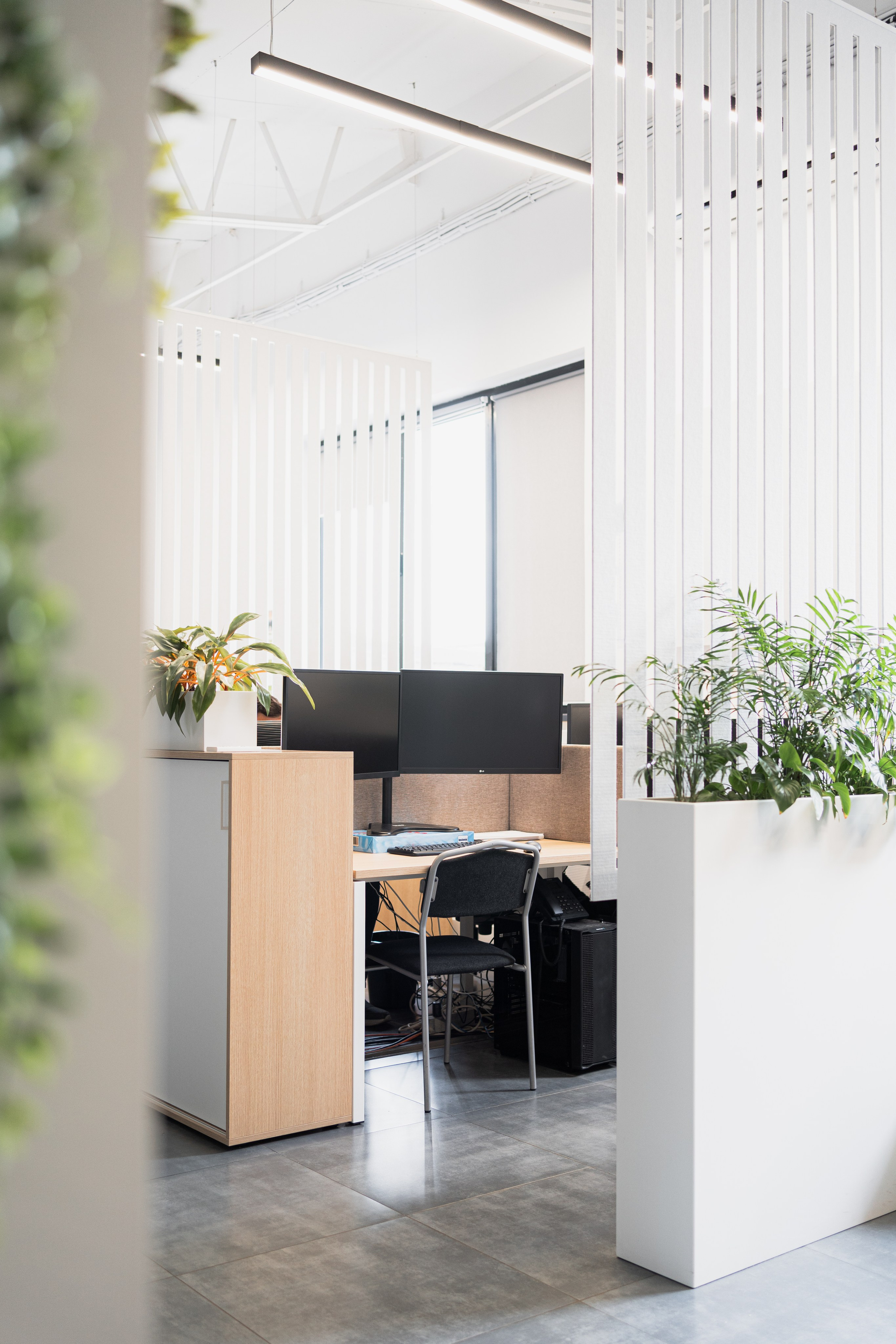 Terra. Елена Пашкевич, фотограф, Москва