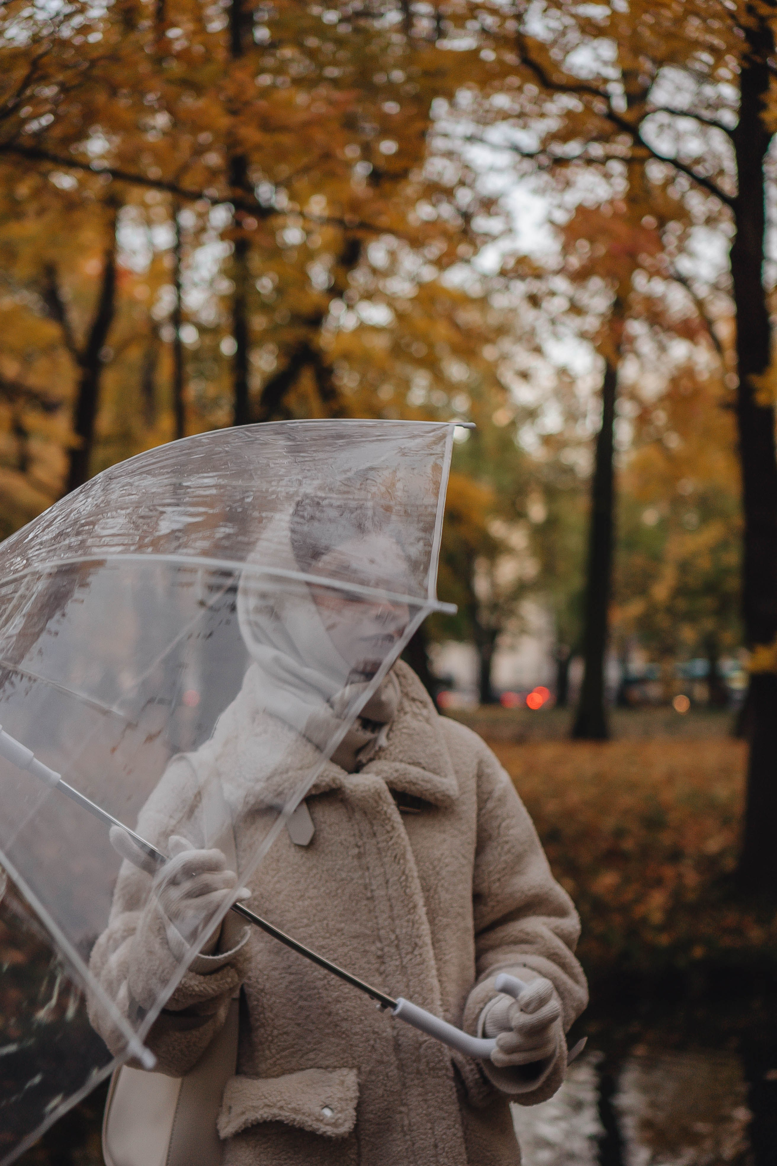 Осенняя. Профессиональный фотограф, Санкт-Петербург — Виктория Богомолова