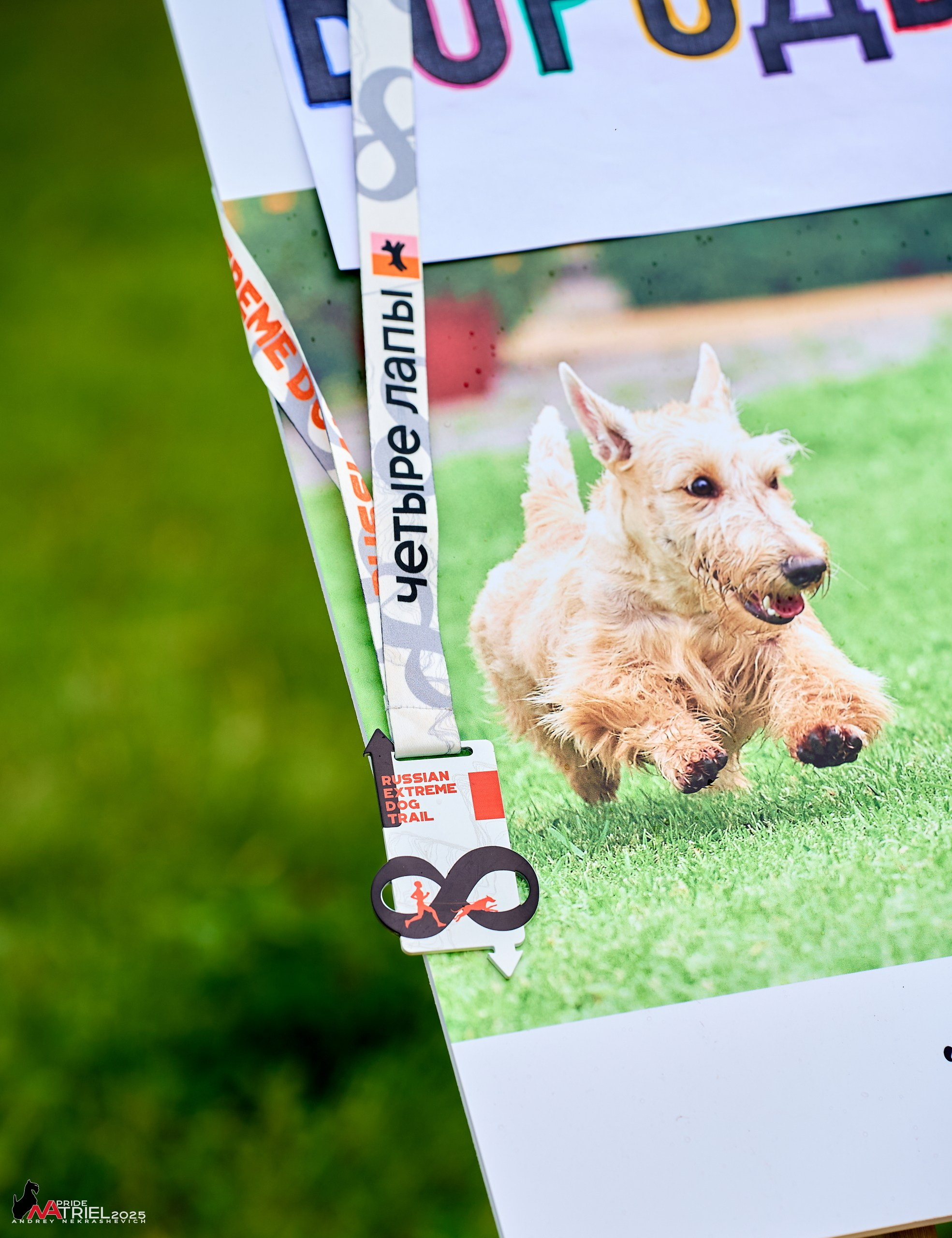 Russian Extreme Dog Trail — 2025