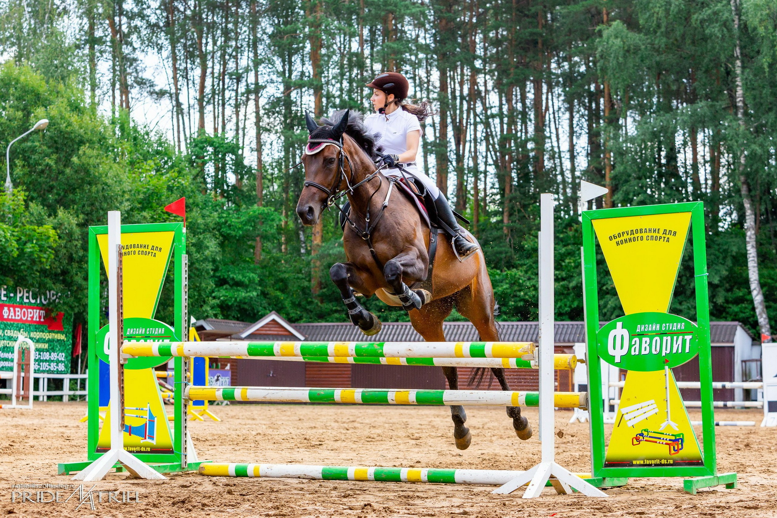 Соревнования на лошадях — галерея NATRIEL