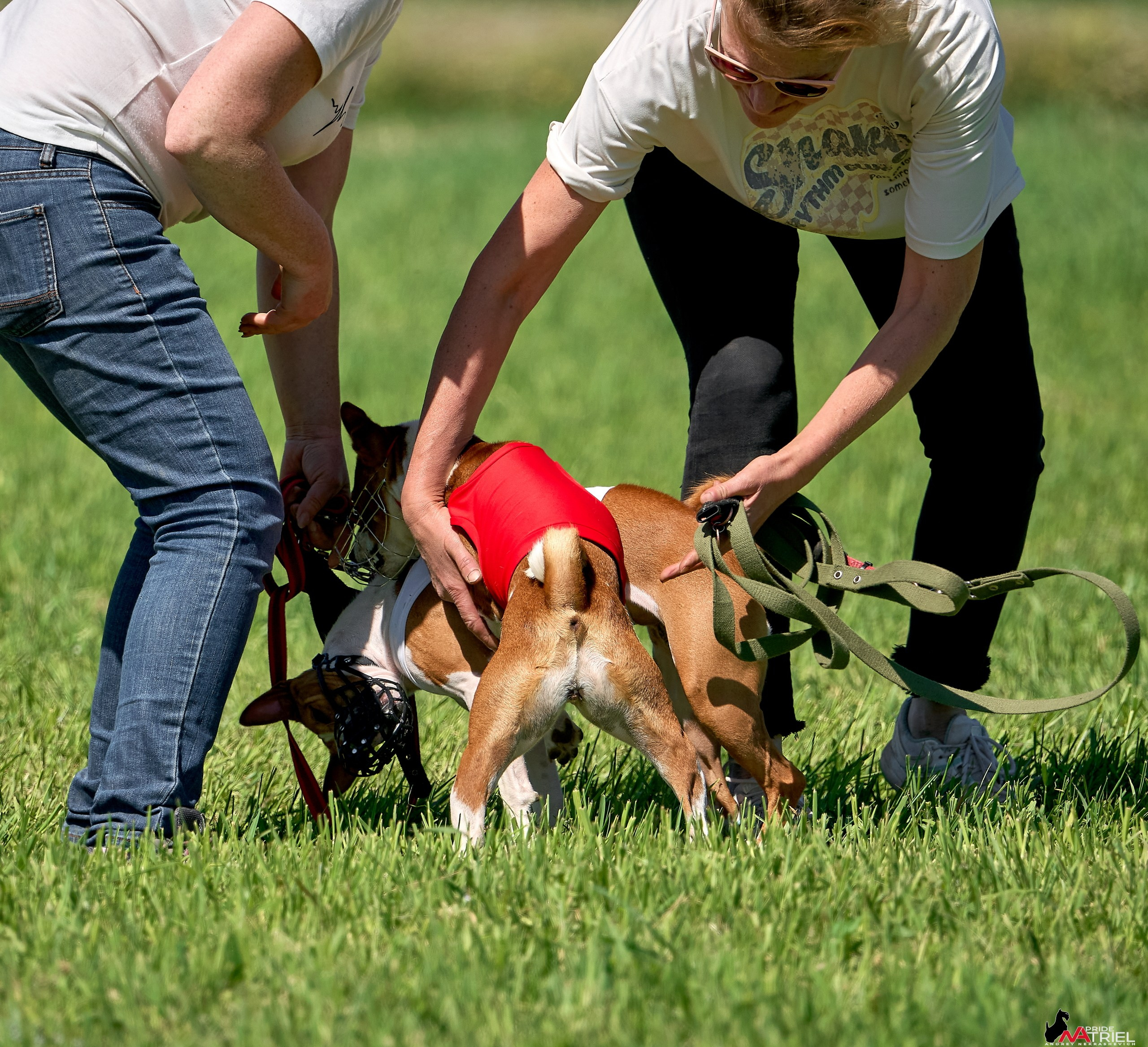 Съемка курсинг — галерея NATRIEL