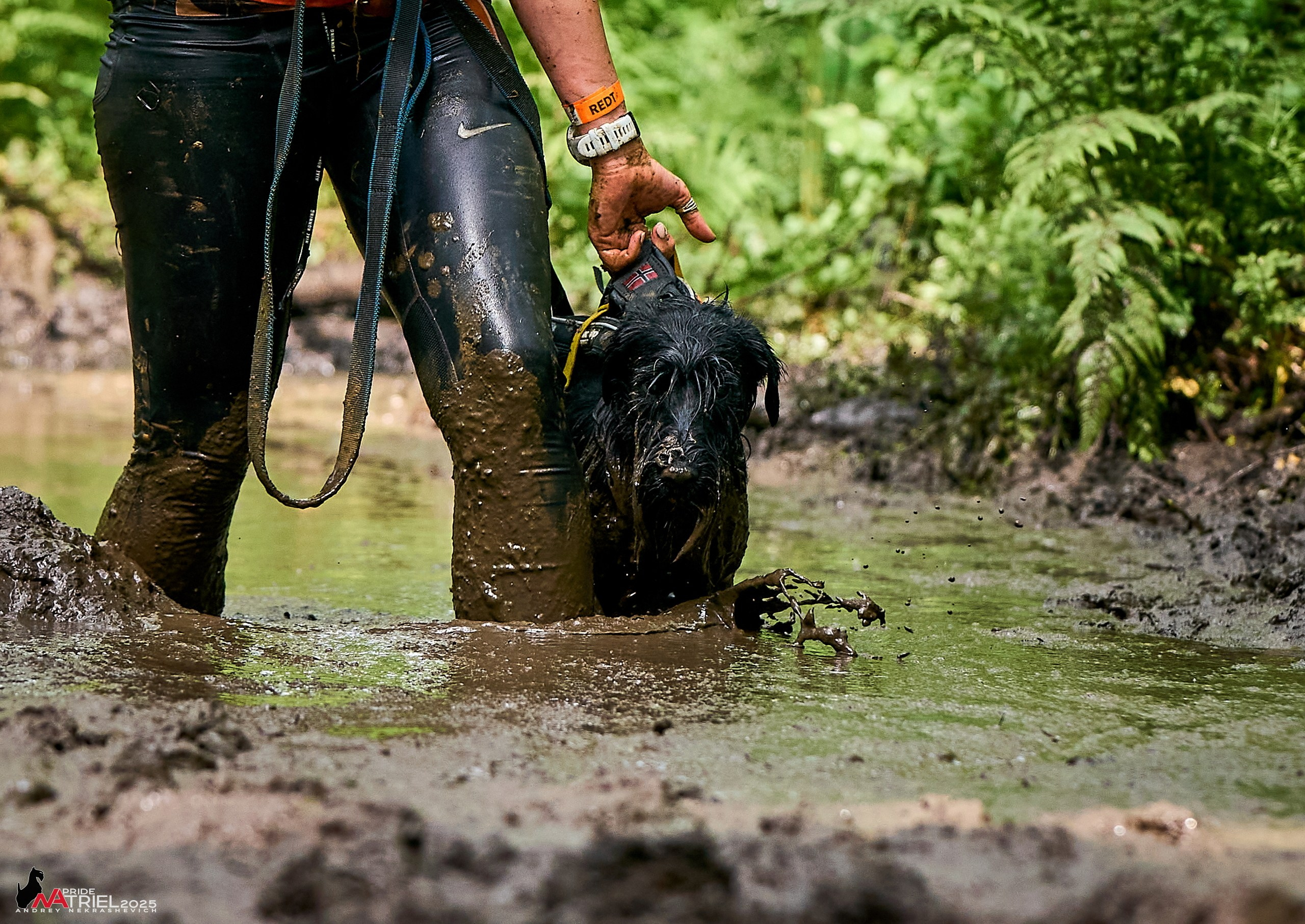 Russian Extreme Dog Trail — 2025