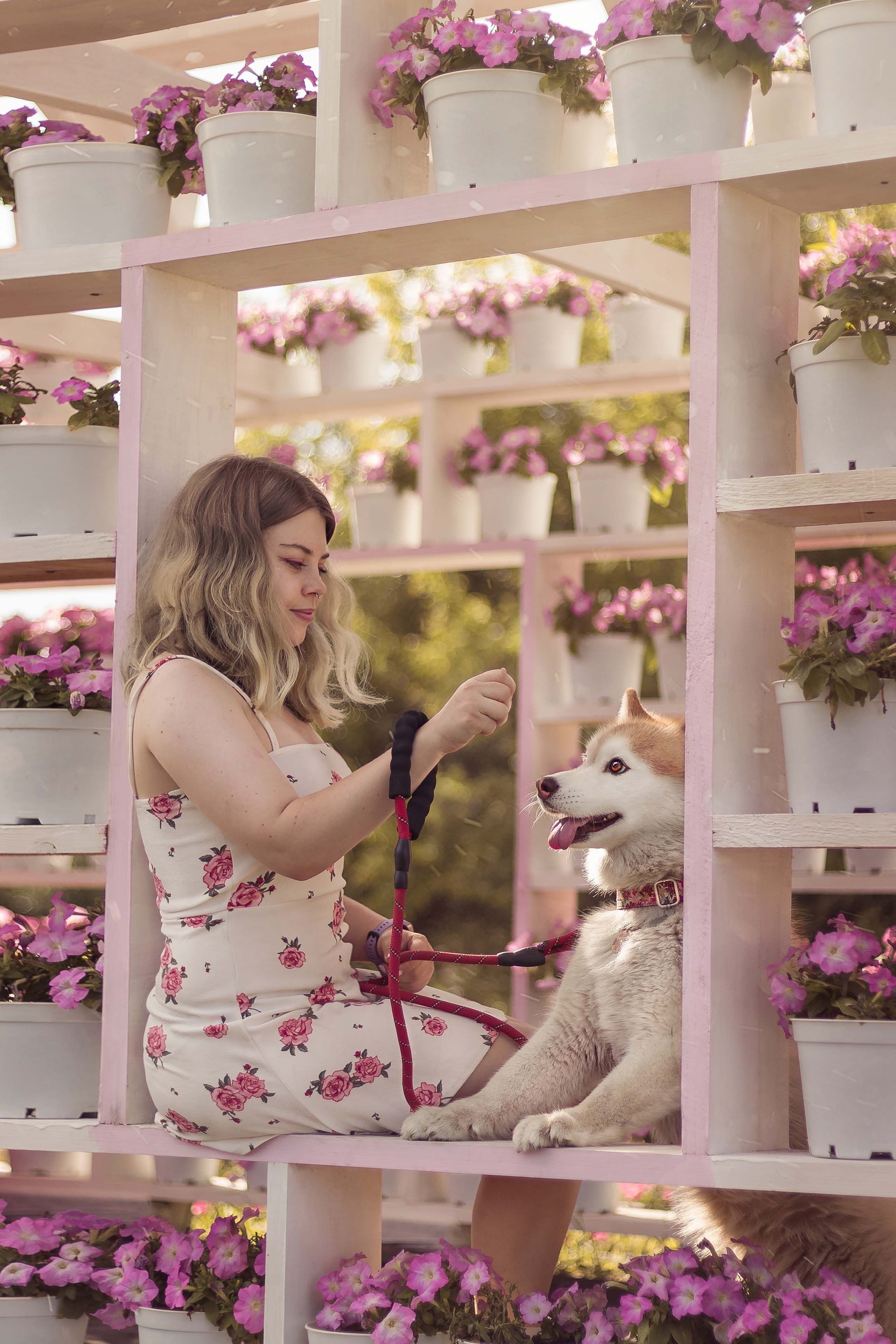 Портфолио фотографа-анималиста из Воронежа Алины Ивановой. Фотограф — анималист Алина Иванова