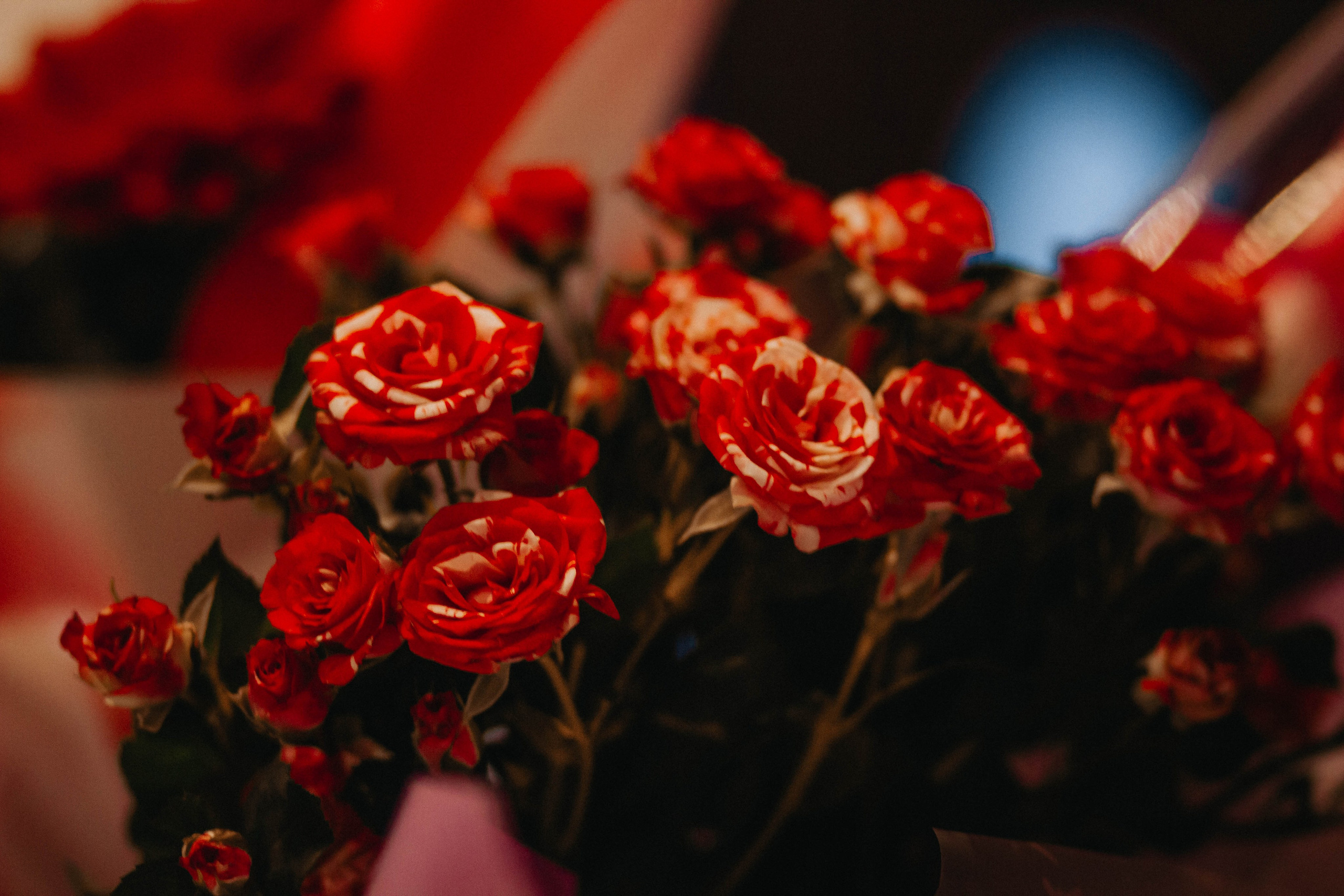 Мероприятия (юбилеи, дни рождения). Фотограф в Уфе Валиева Лилия