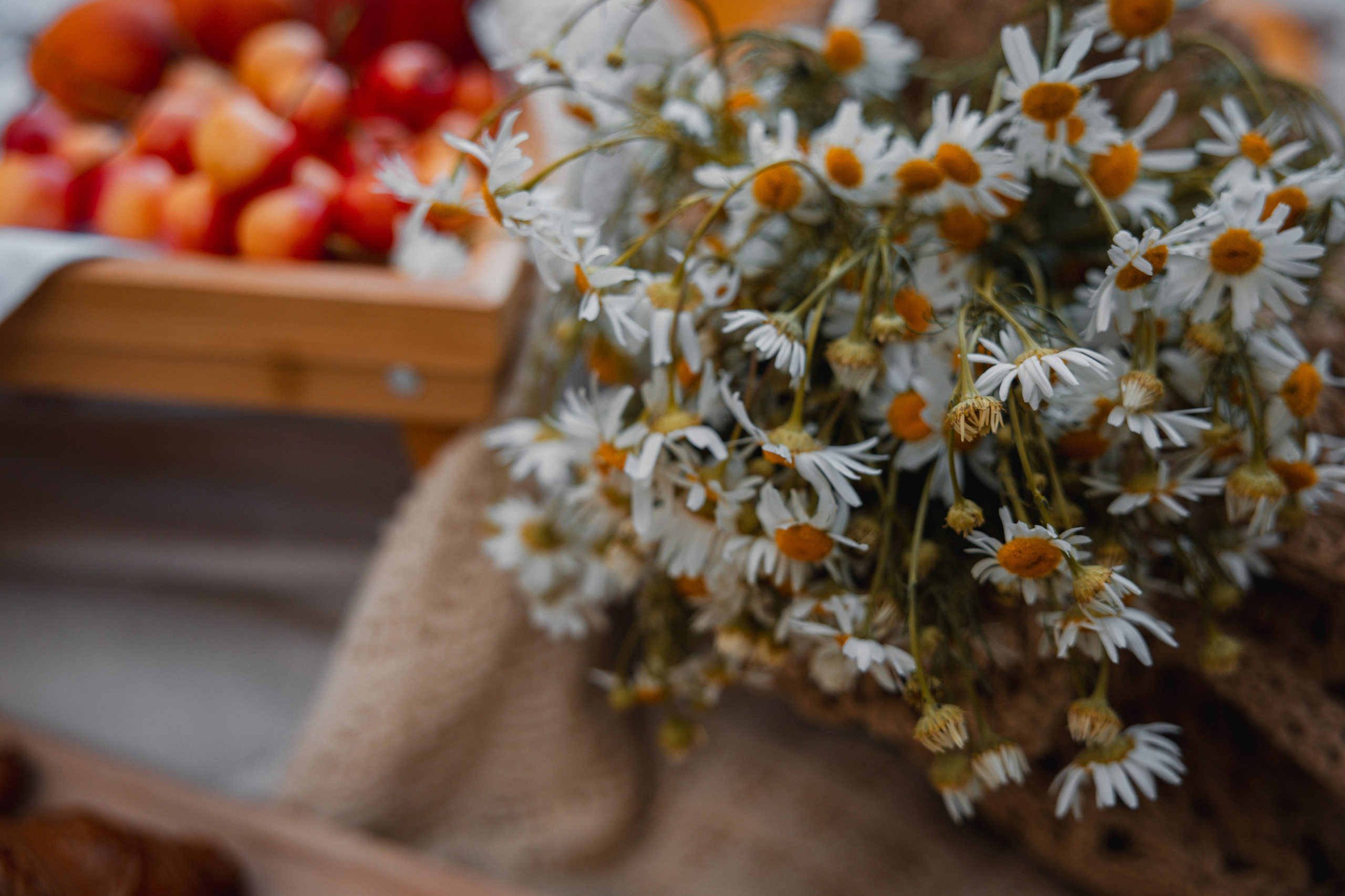 Пикник в парке. Андрей, Катя и Платон. Ваш семейный newborn и lifestyle фотограф в СПБ Наталья Журавлева
