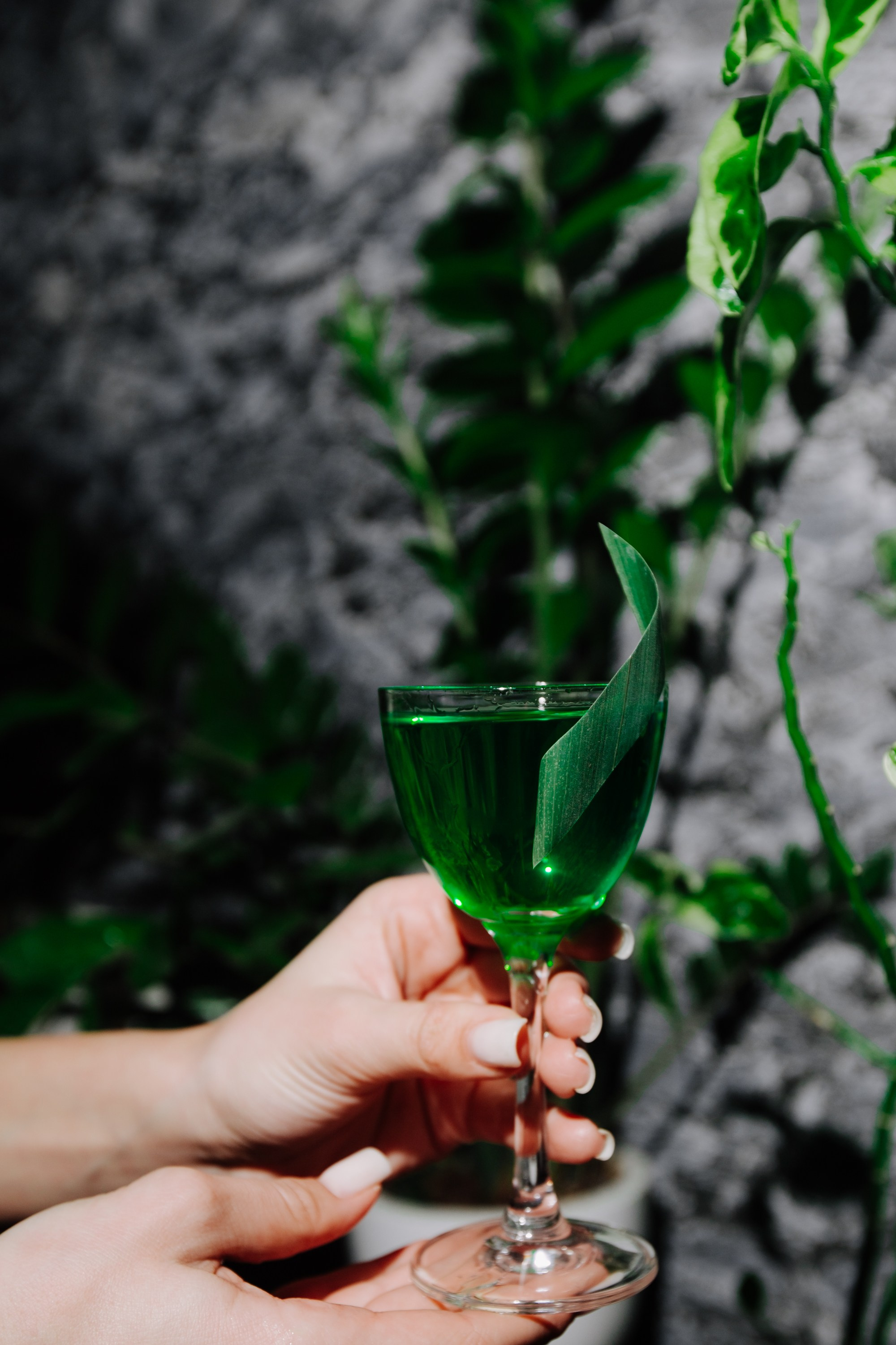 Garden Lounge / Cocktail. Home