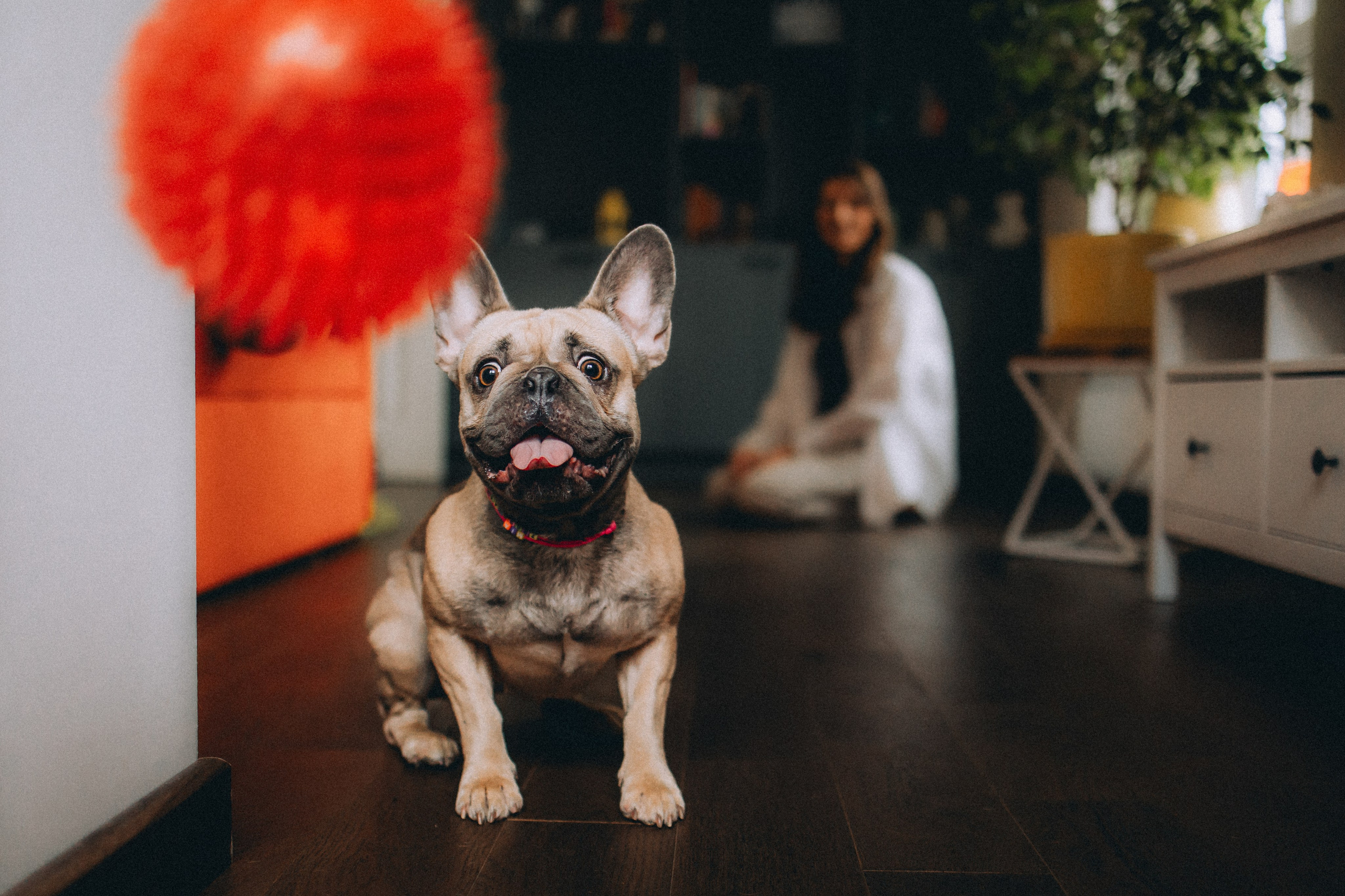 Юля, Мия и Зек