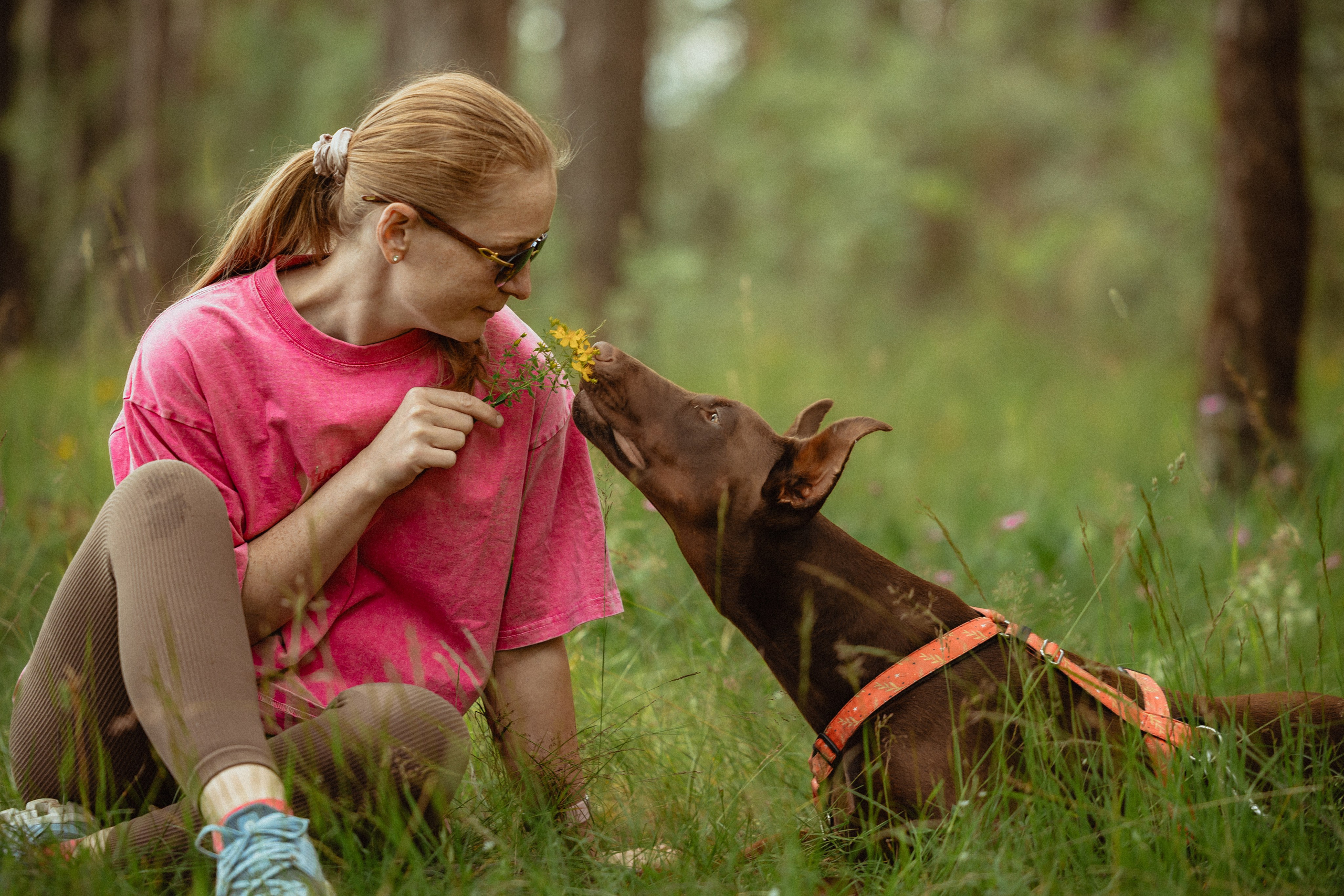 Выездной дог-тренинг от школы «Шерсть имею»