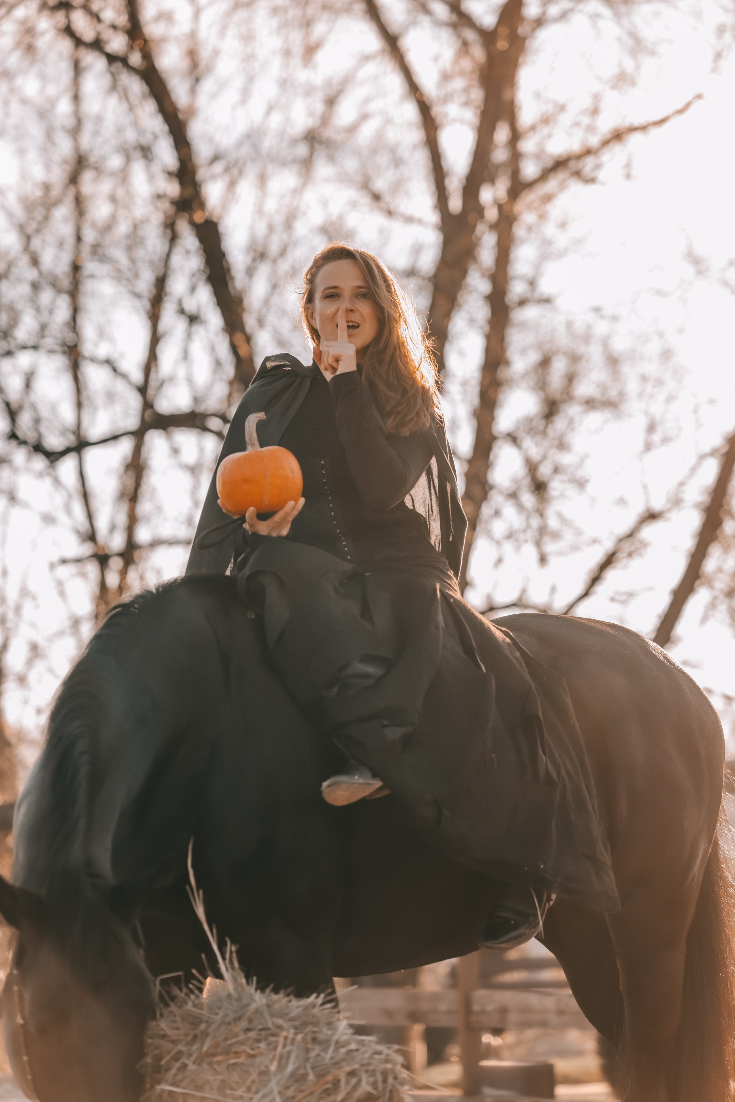 КСК Ждановское фотосессия. Фотосессии с лошадьми