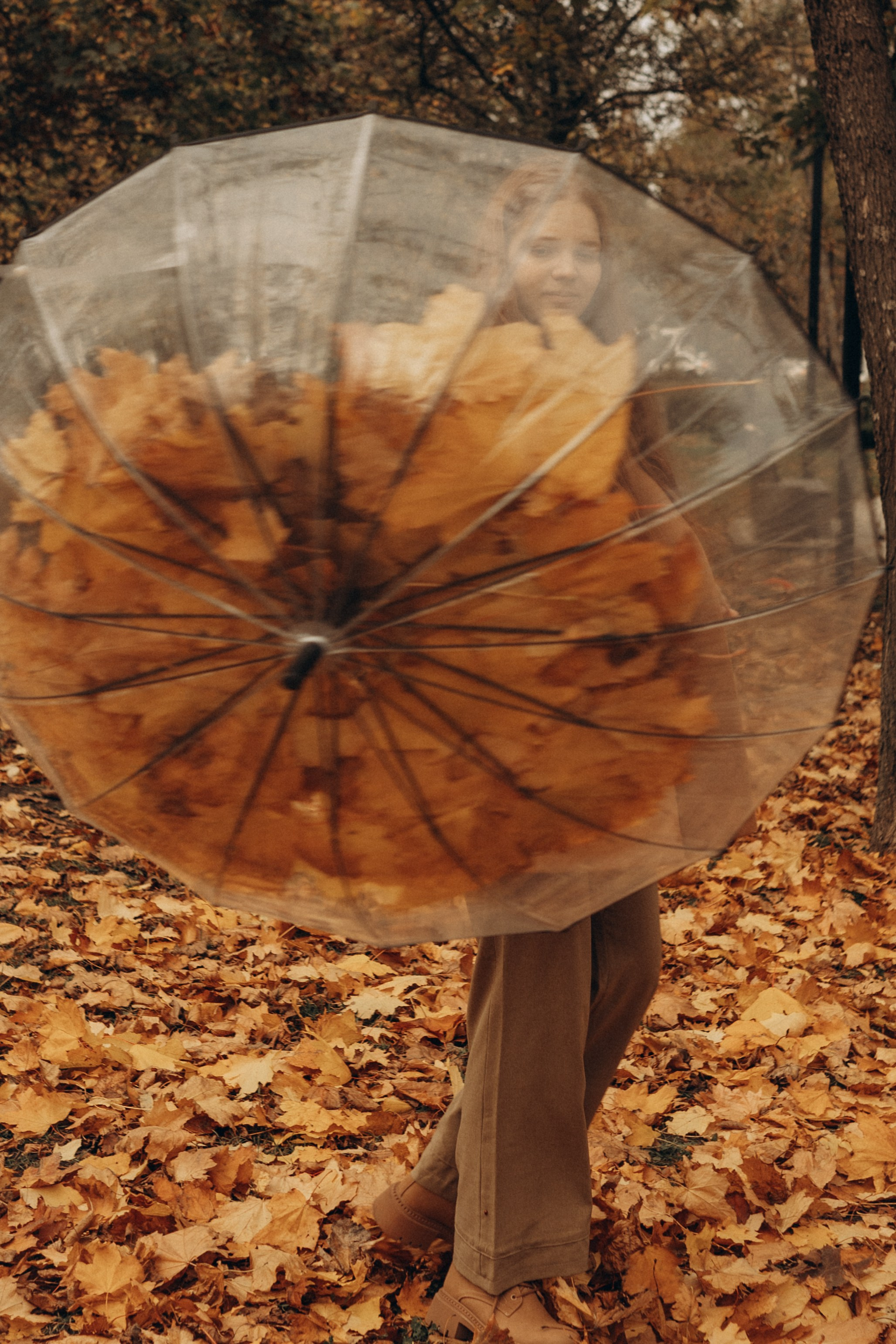 Золотая осень. Индивидуальная съёмка. Фотограф в Ставрополе Svetlana Matveeva