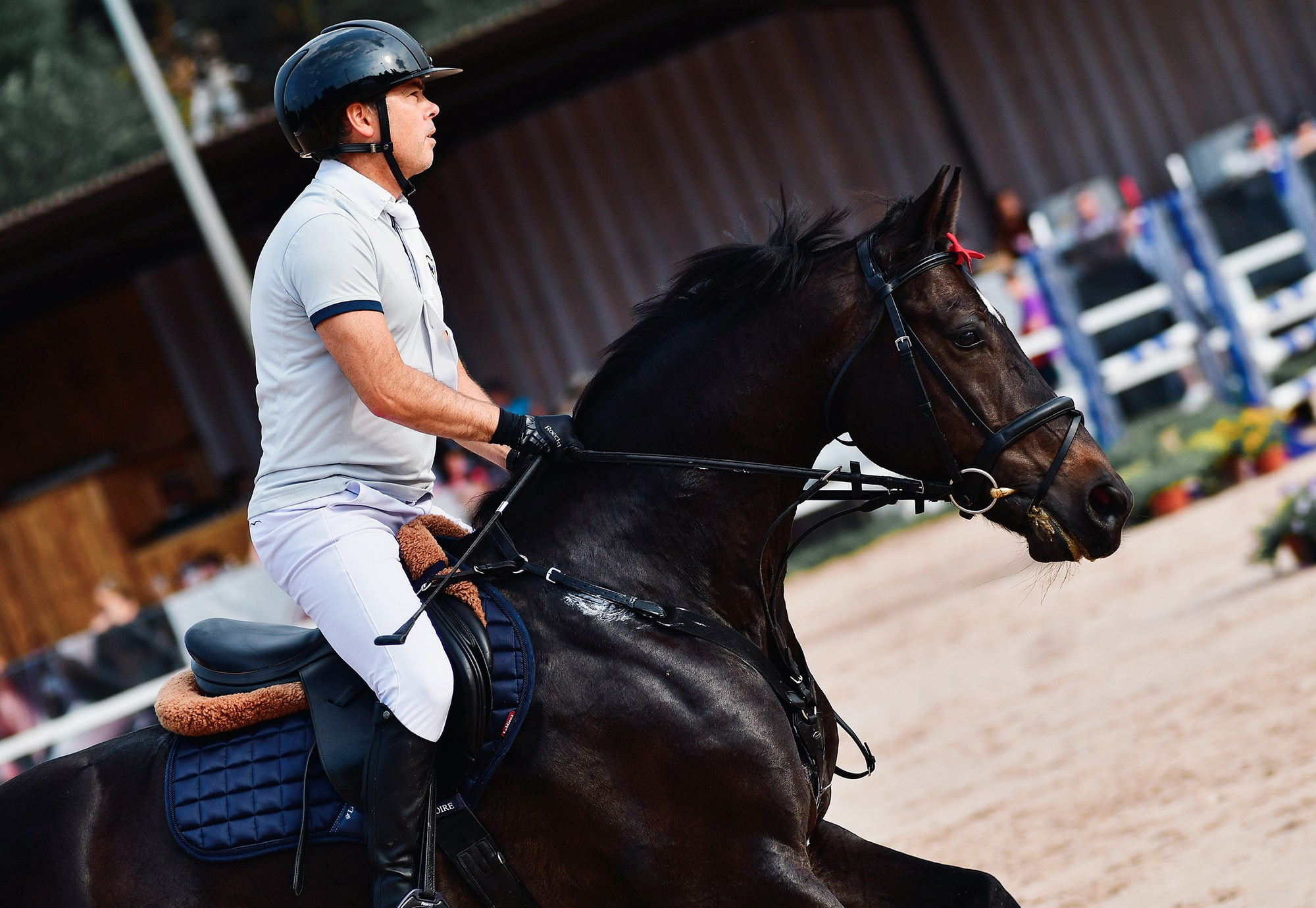 Конкур. Конный фотограф Alesya Safe