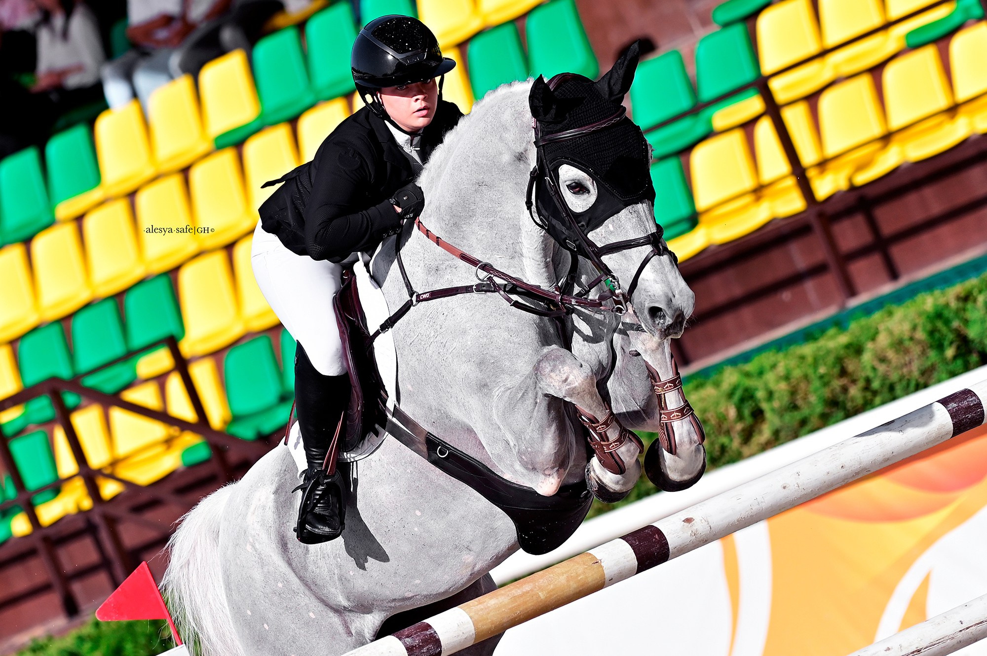 Голден. Конный фотограф Alesya Safe