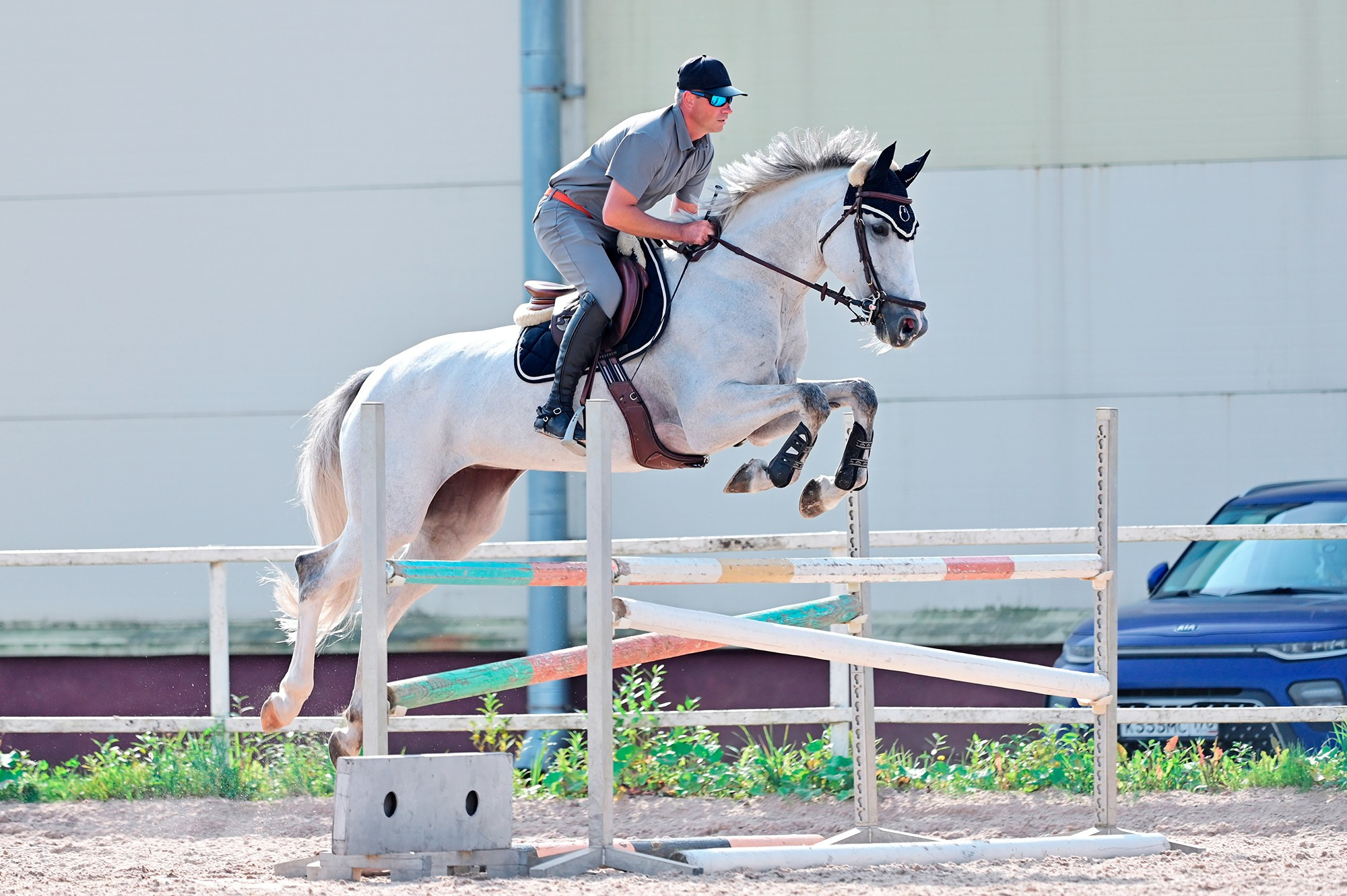 Тренировки. Конный фотограф Alesya Safe