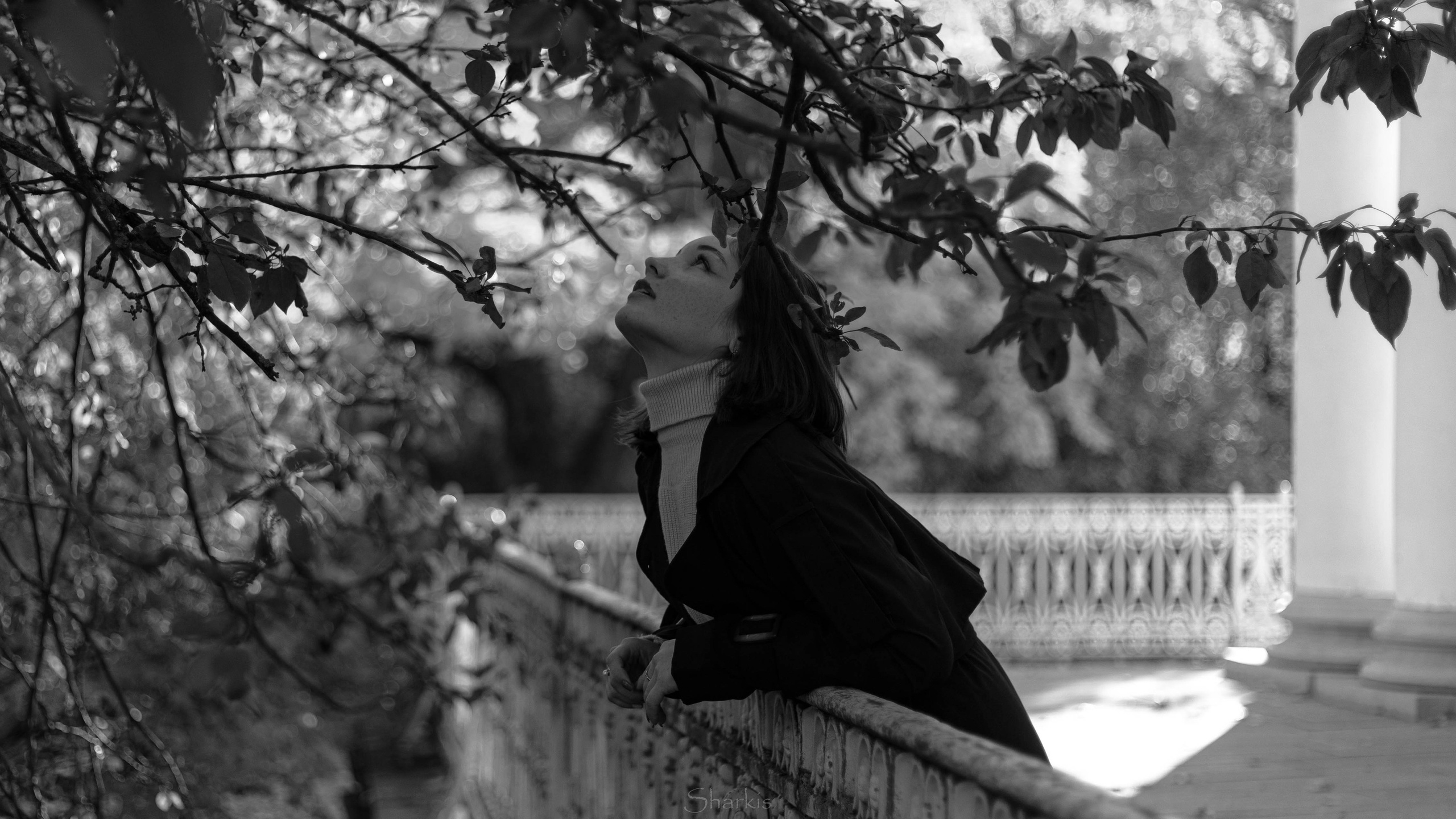 Света. Главная