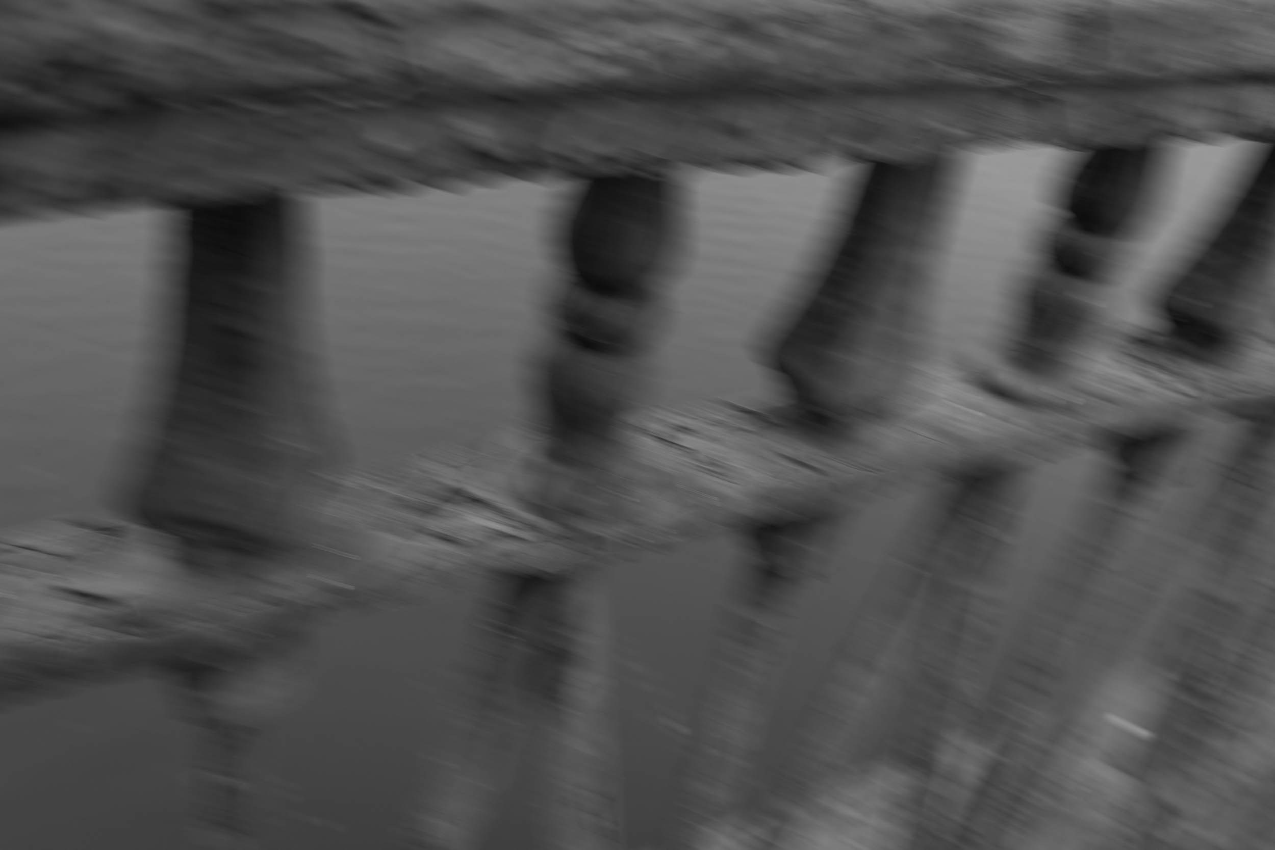 BRIDGE. Фотограф Вадим Бодылев