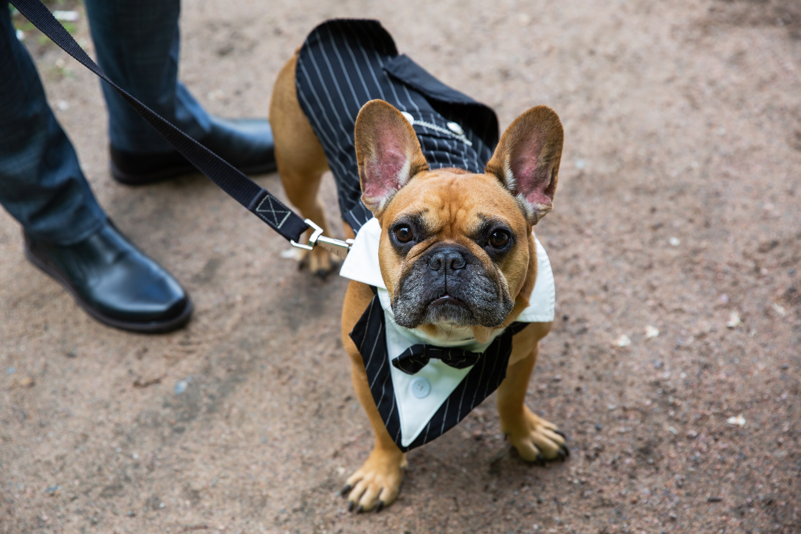 ПРОГУЛКА. Свадебный фотограф Санкт-Петербург Катерина Ширяева