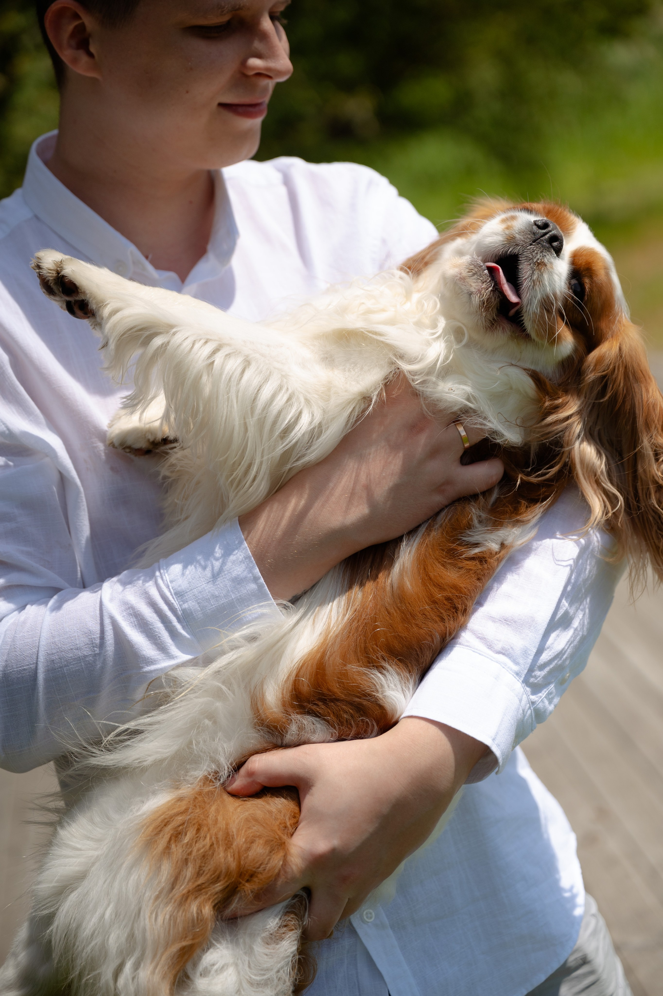 Катя, Миша и Арчи 🐶. Свадебный фотограф Новосибирск