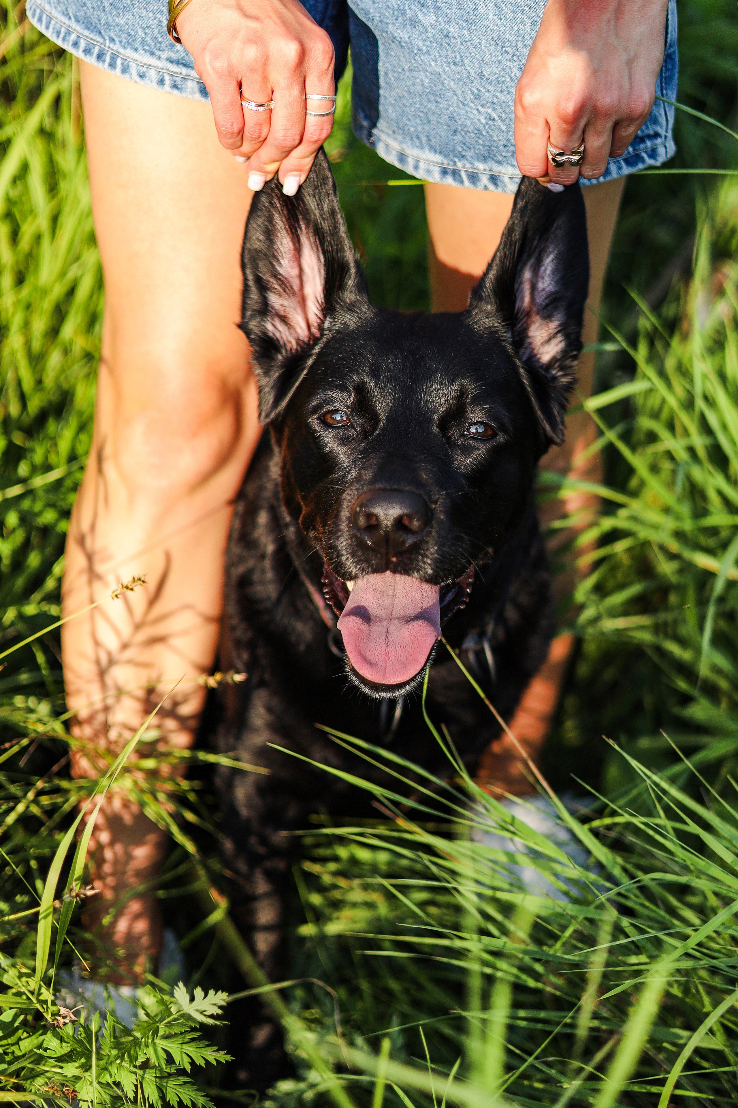 Бонни, Лея и Лера. Фотограф-анималист Ксения Шевцова|Москва