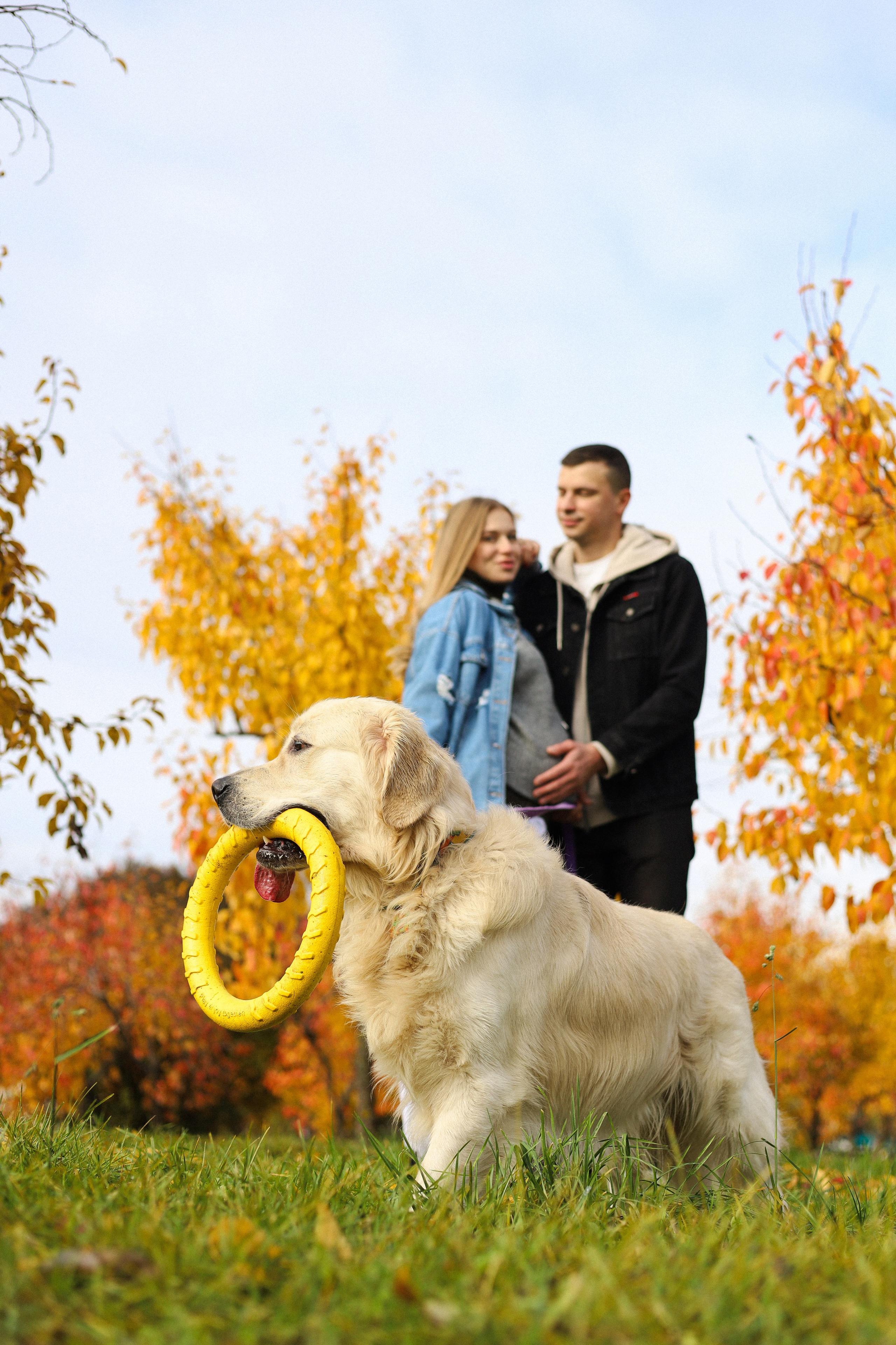 Фрэнк, Даша и Максим. Фотограф-анималист Ксения Шевцова|Москва