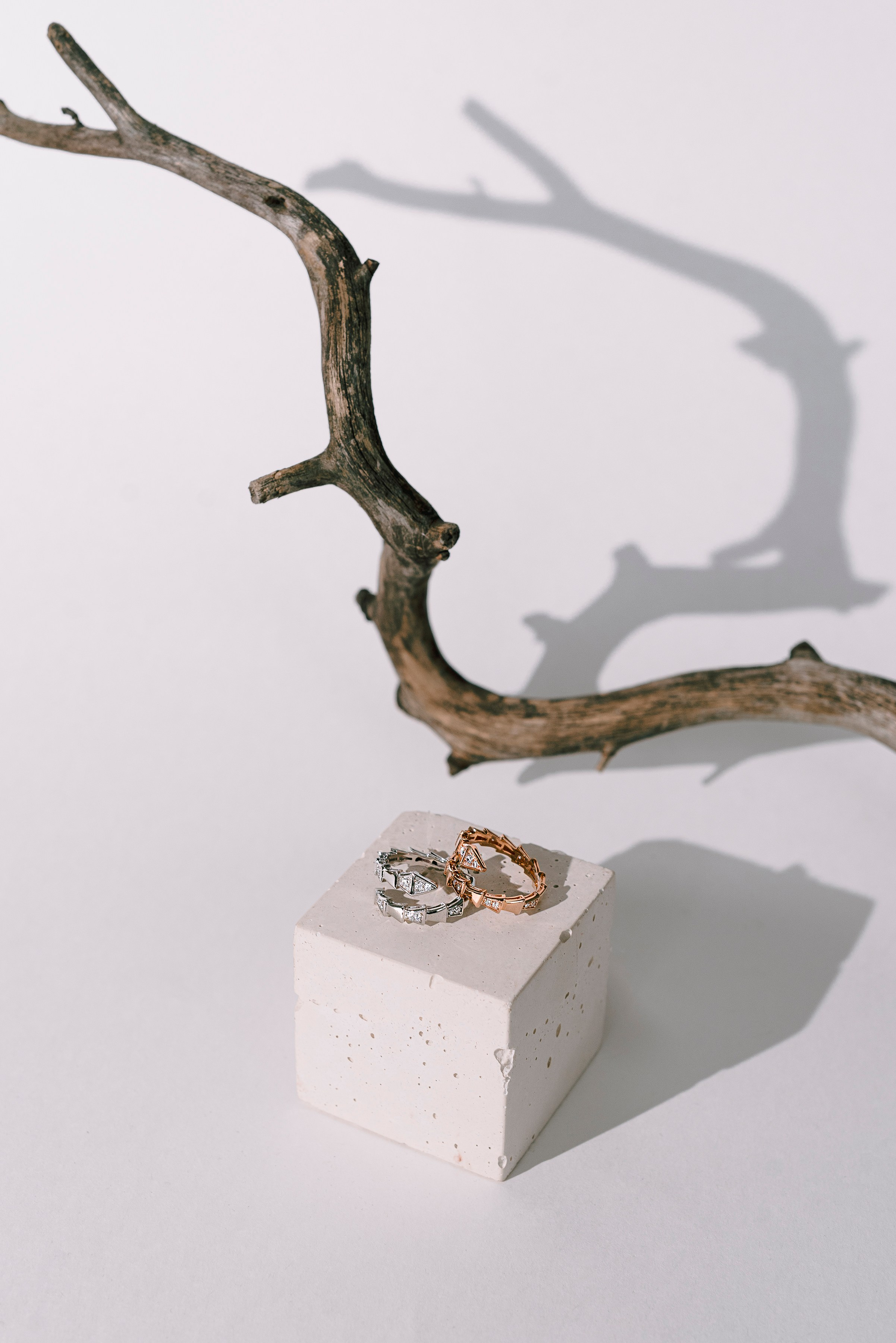 кольца из желтого и белого золота на белом фоне с веткой