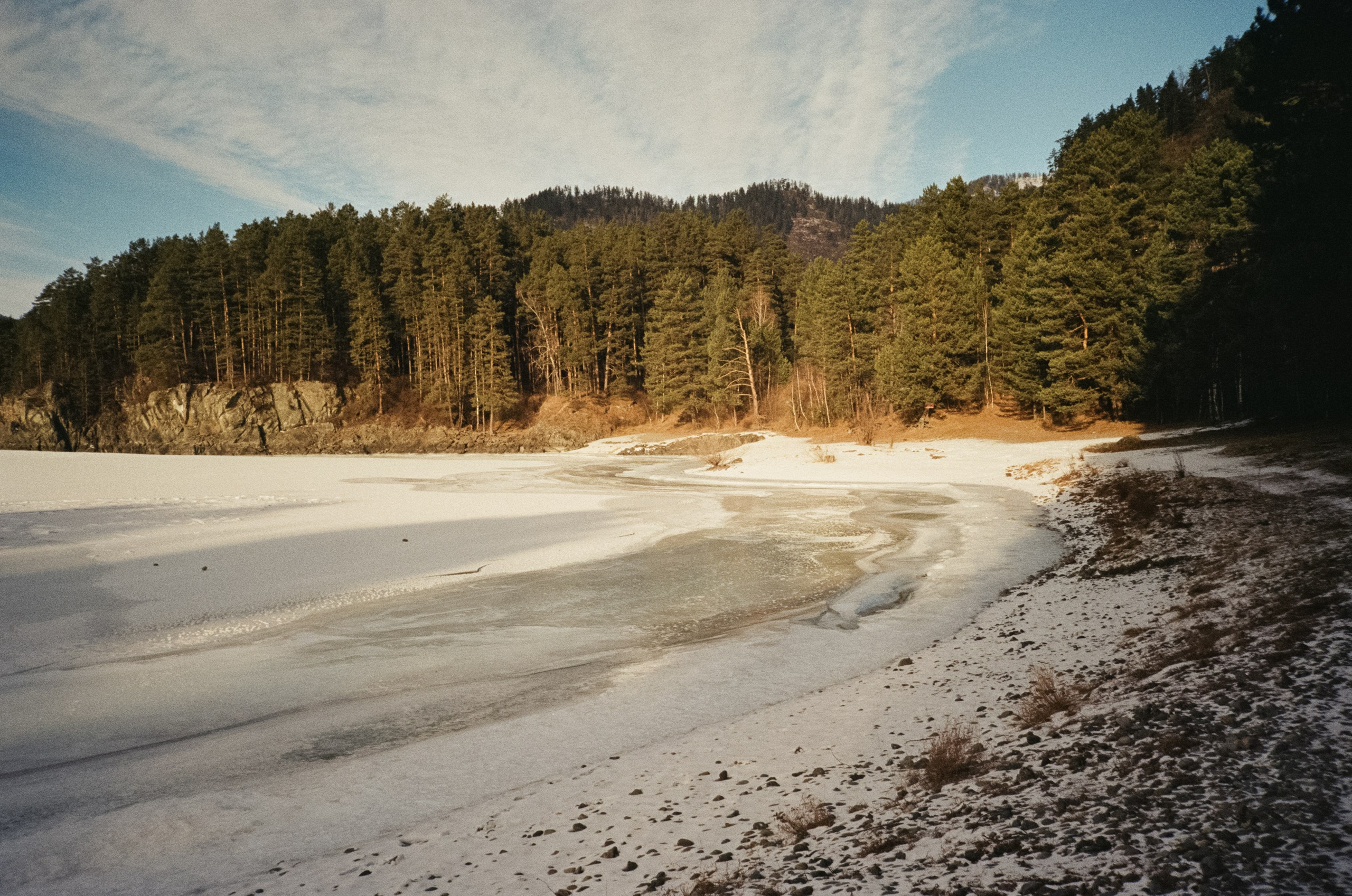 От Кызыл-Таша до Чемала. Техас, горы, поля и коровы. Фотограф-документалист Мария Осокина