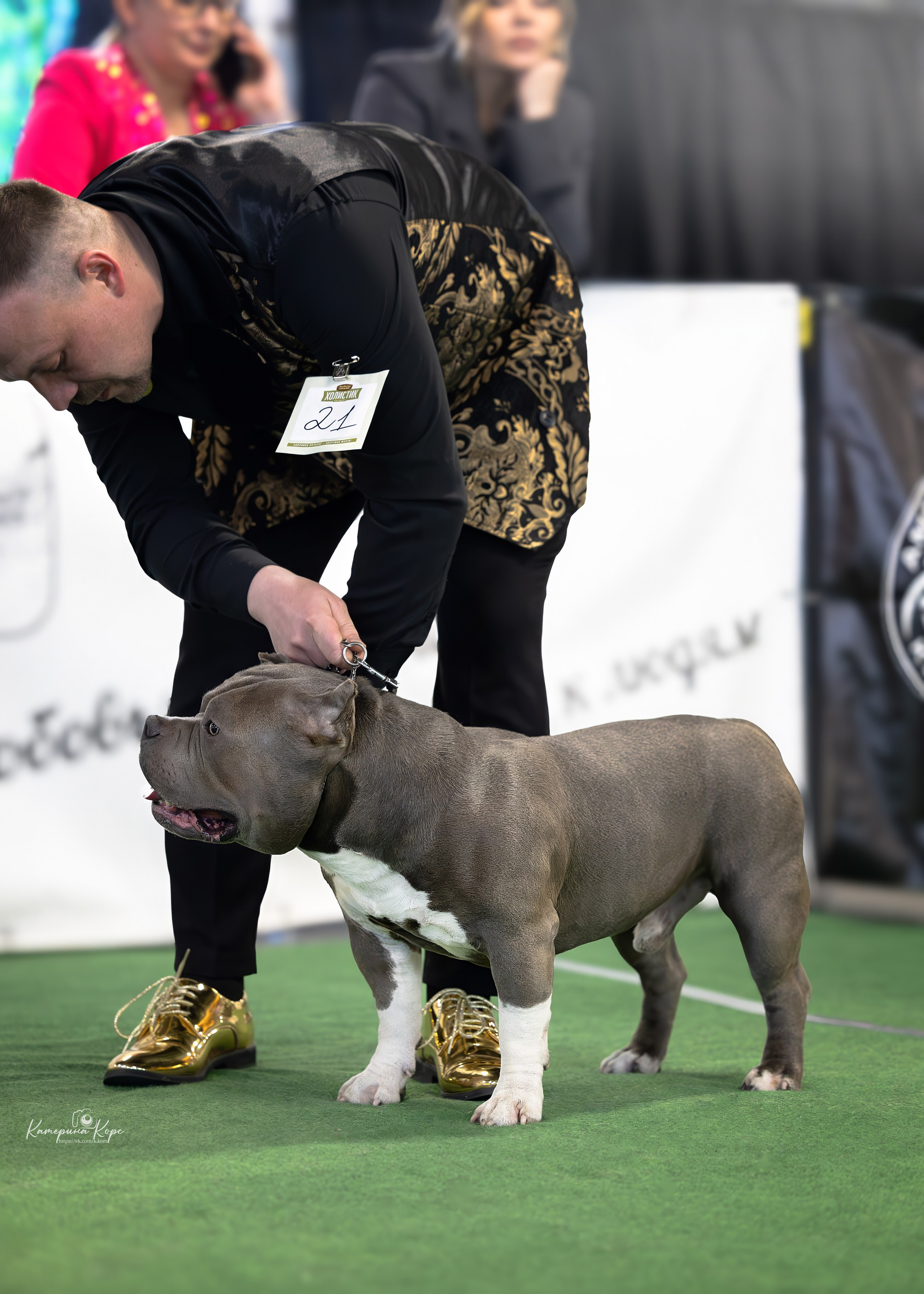 Выставка АВКС СПб. Главная